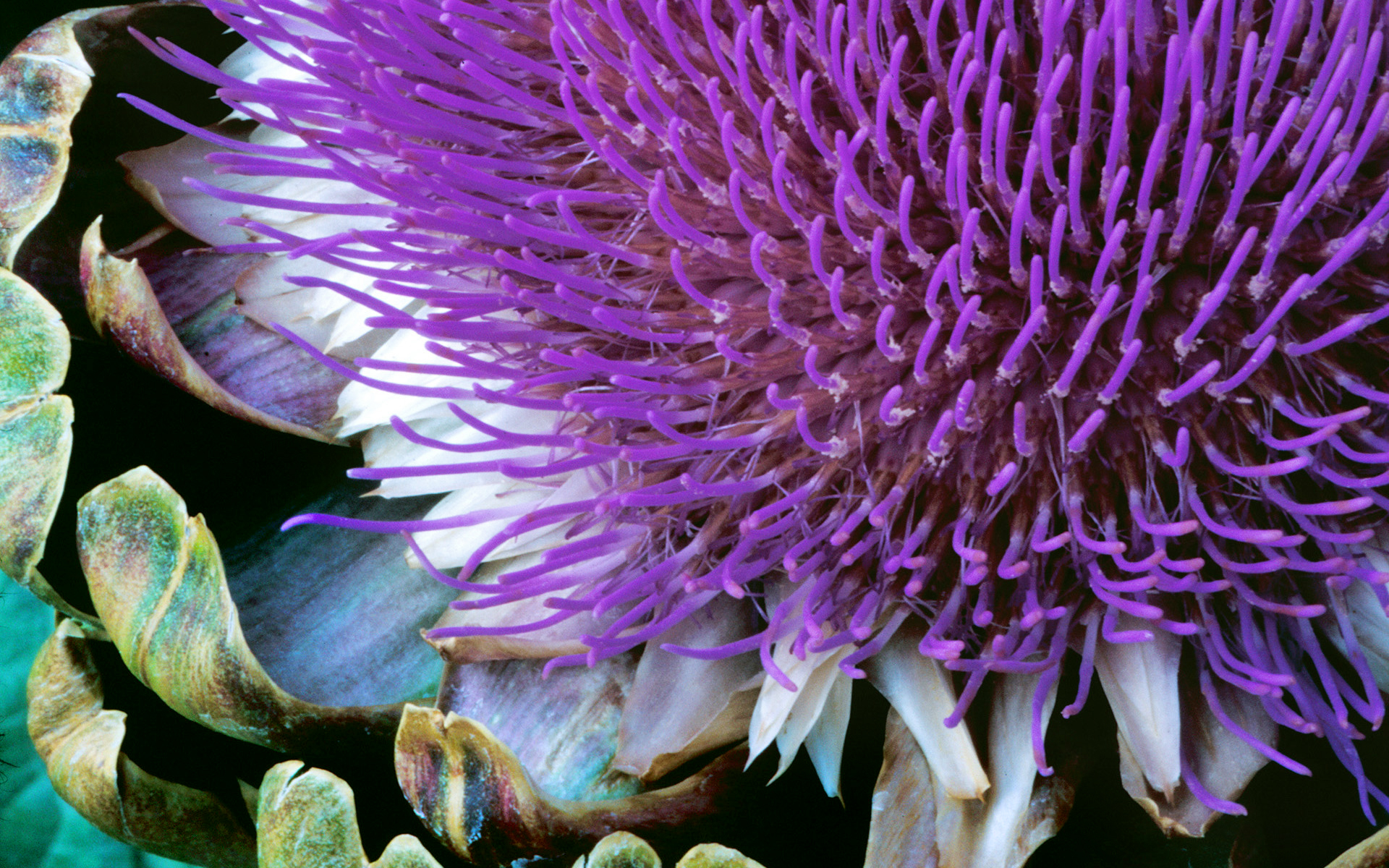 图片[5]-Windows7经典壁纸-抖有网