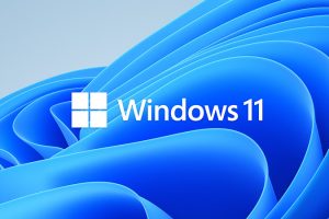 Windows 11 21H2 X64位 纯净专业版