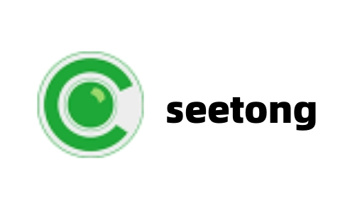 图片[1]-Seetong电脑客户端64位-抖有网
