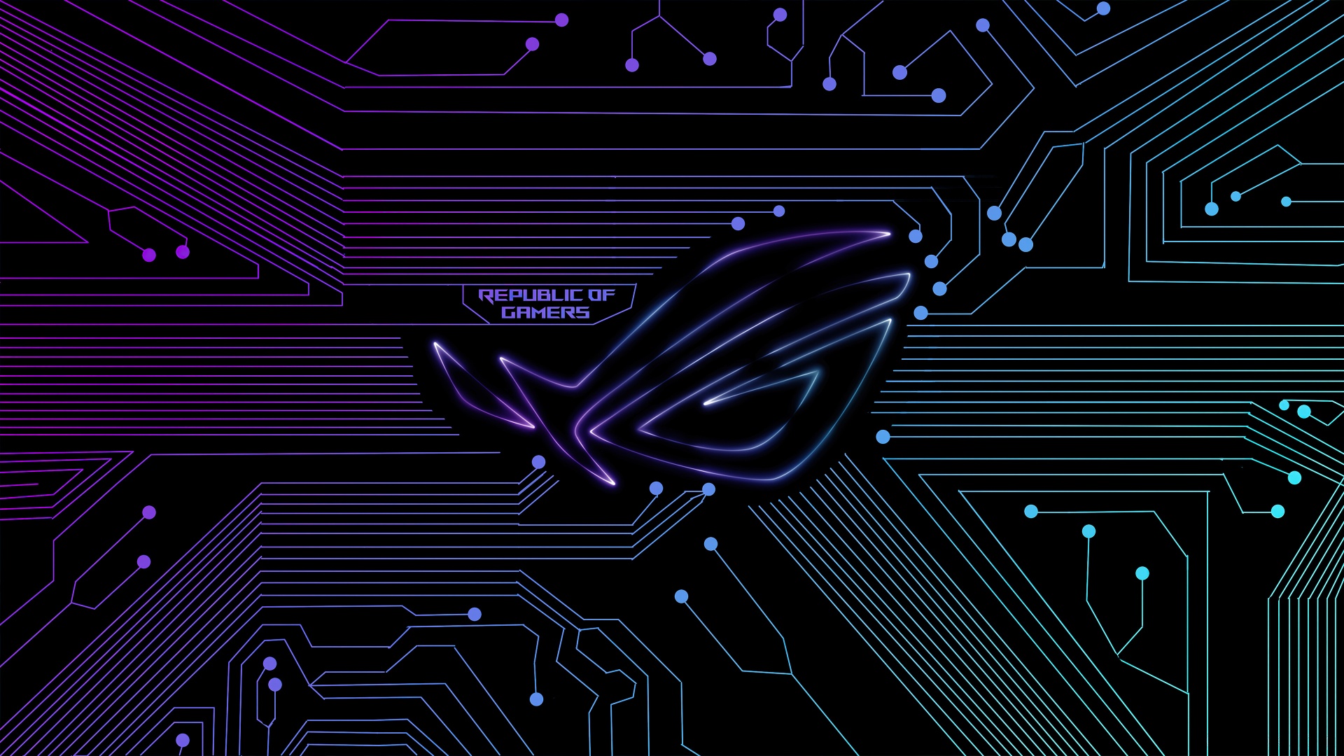 2f51ece04e20240419084402