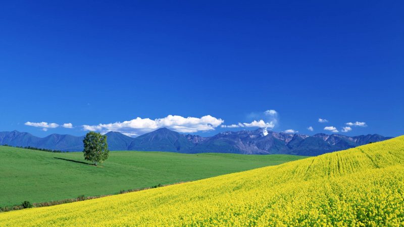 今日分享壁纸：美景-抖有网
