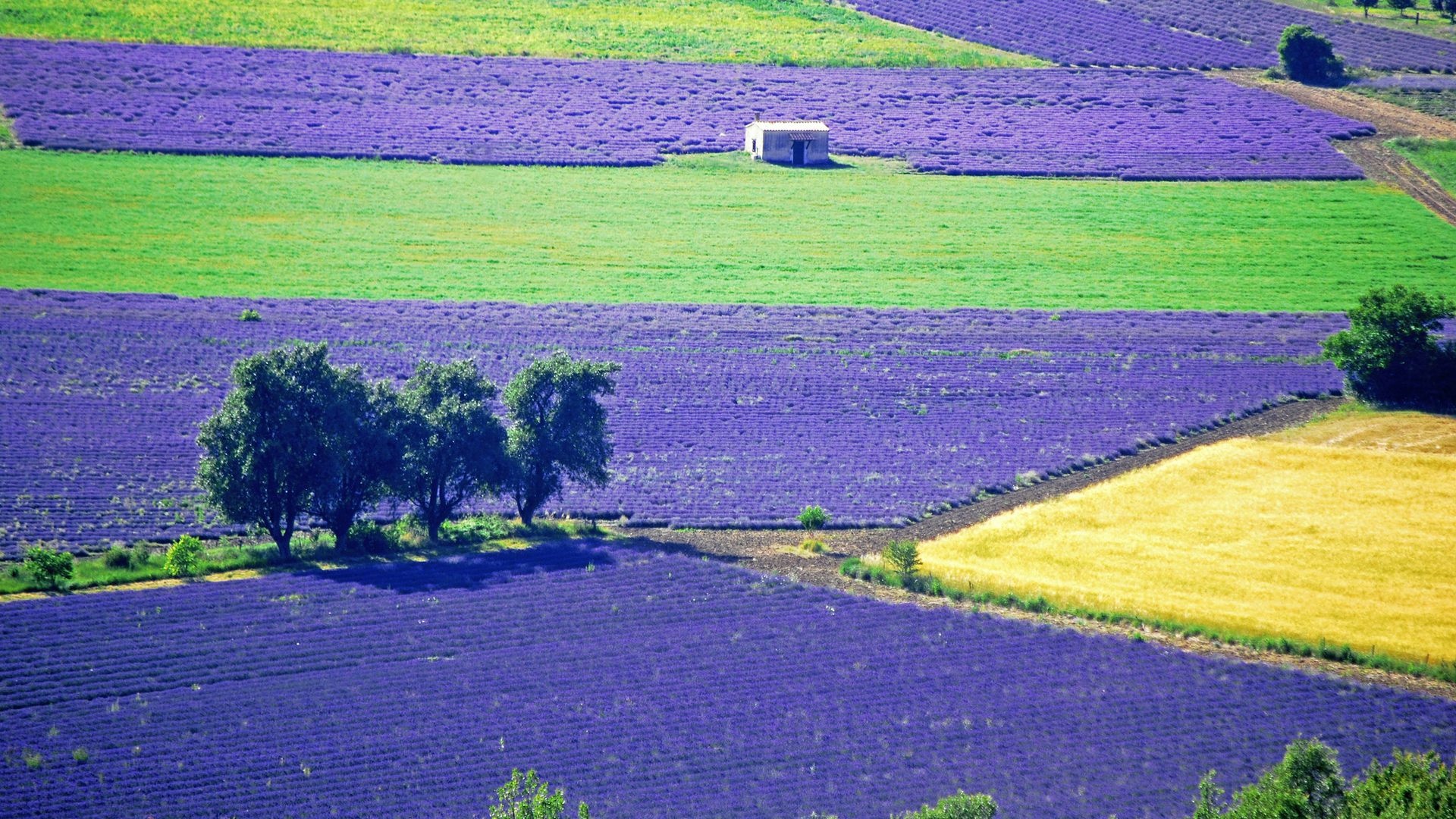 fe3f2f15d420240421081131