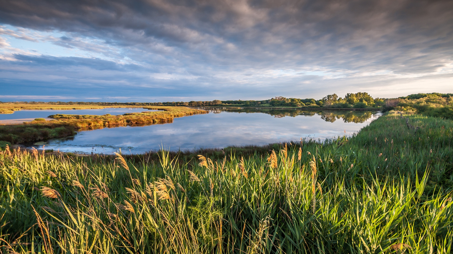 27dc29389d20240426081309