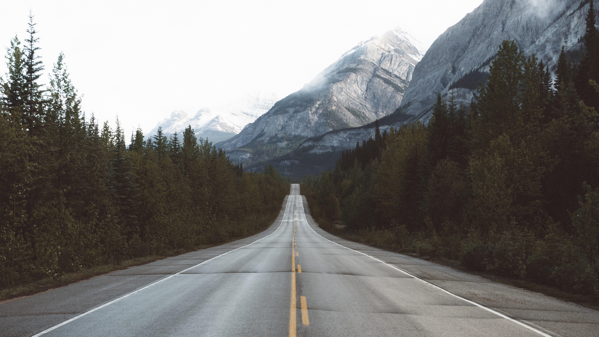 11158eb98f20240426081338