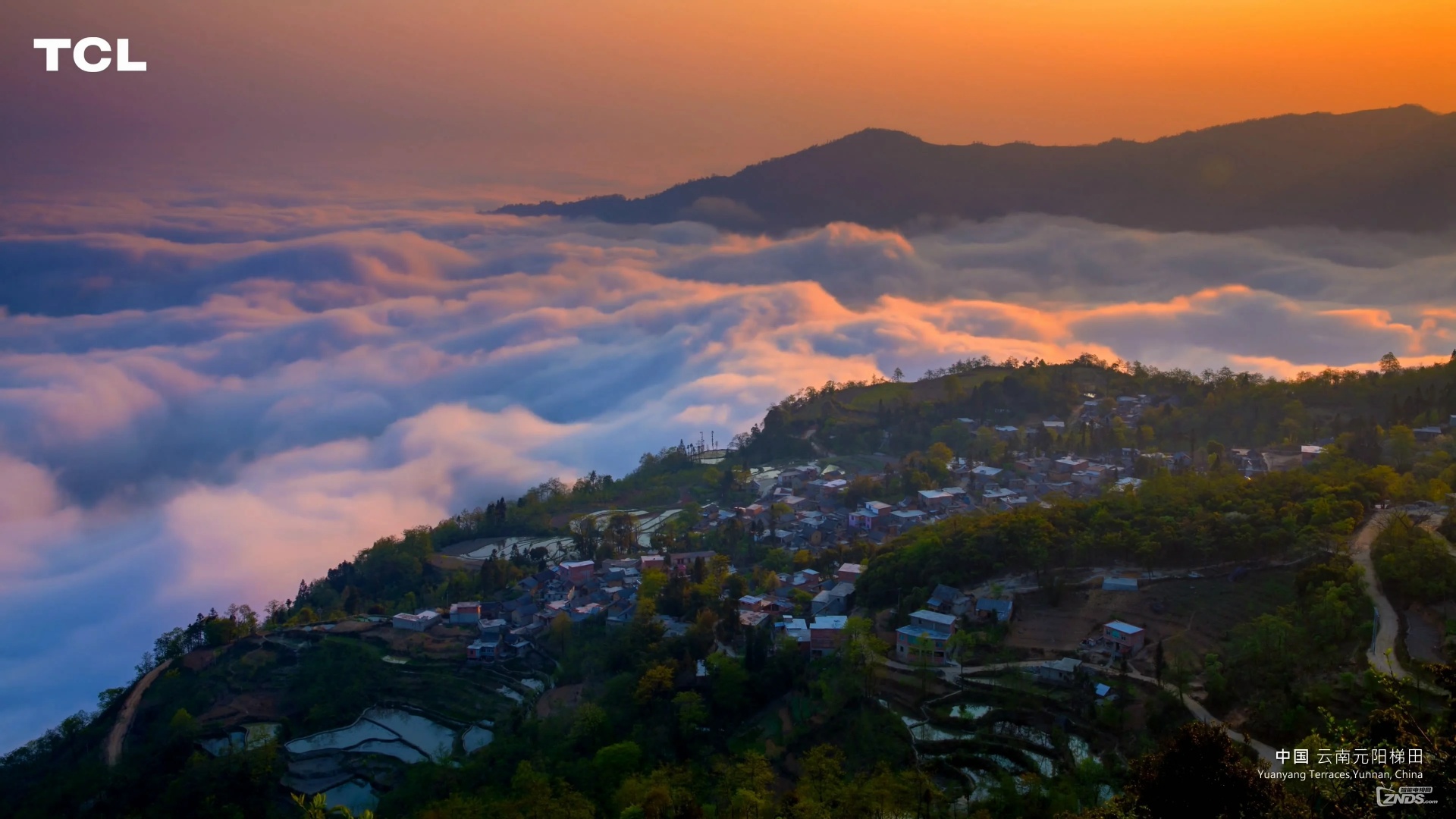 fefb6f77c220240525083045