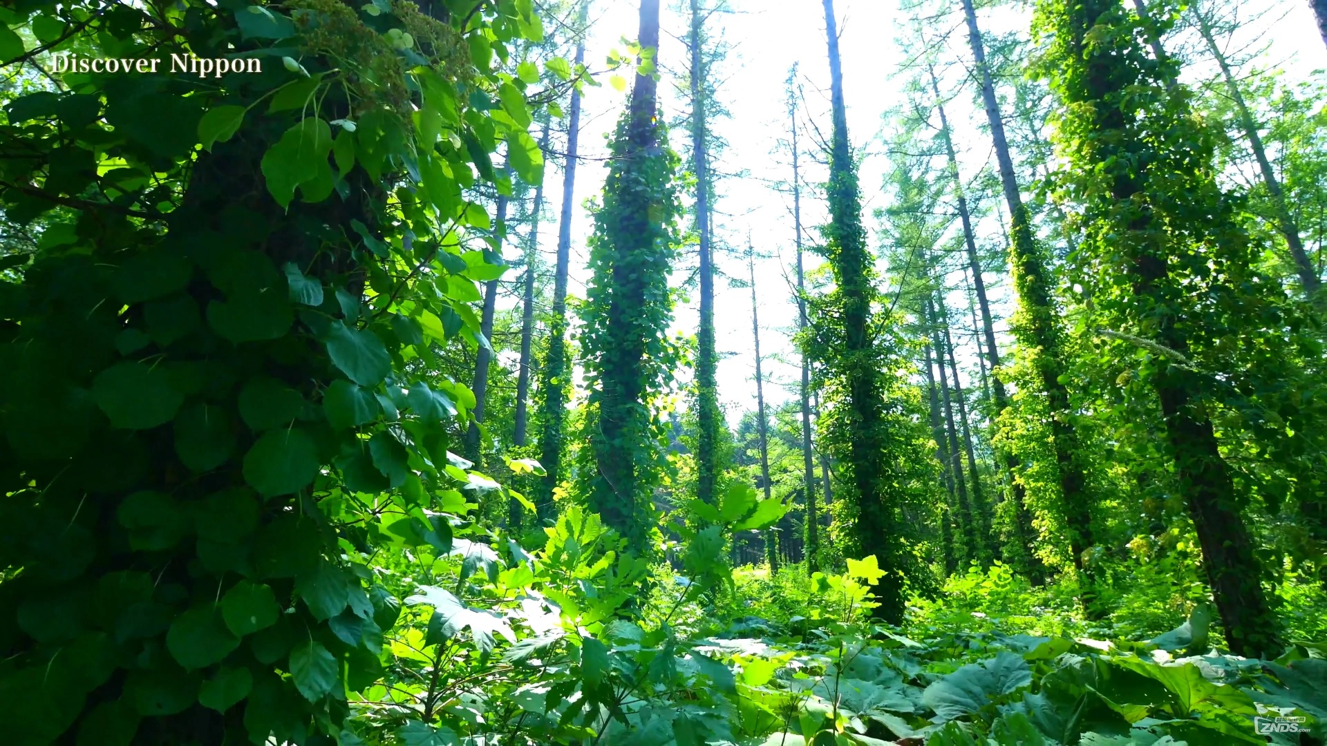 fd9154416020240527091729