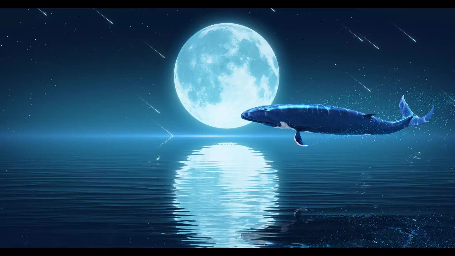 09b151183b20240530092556