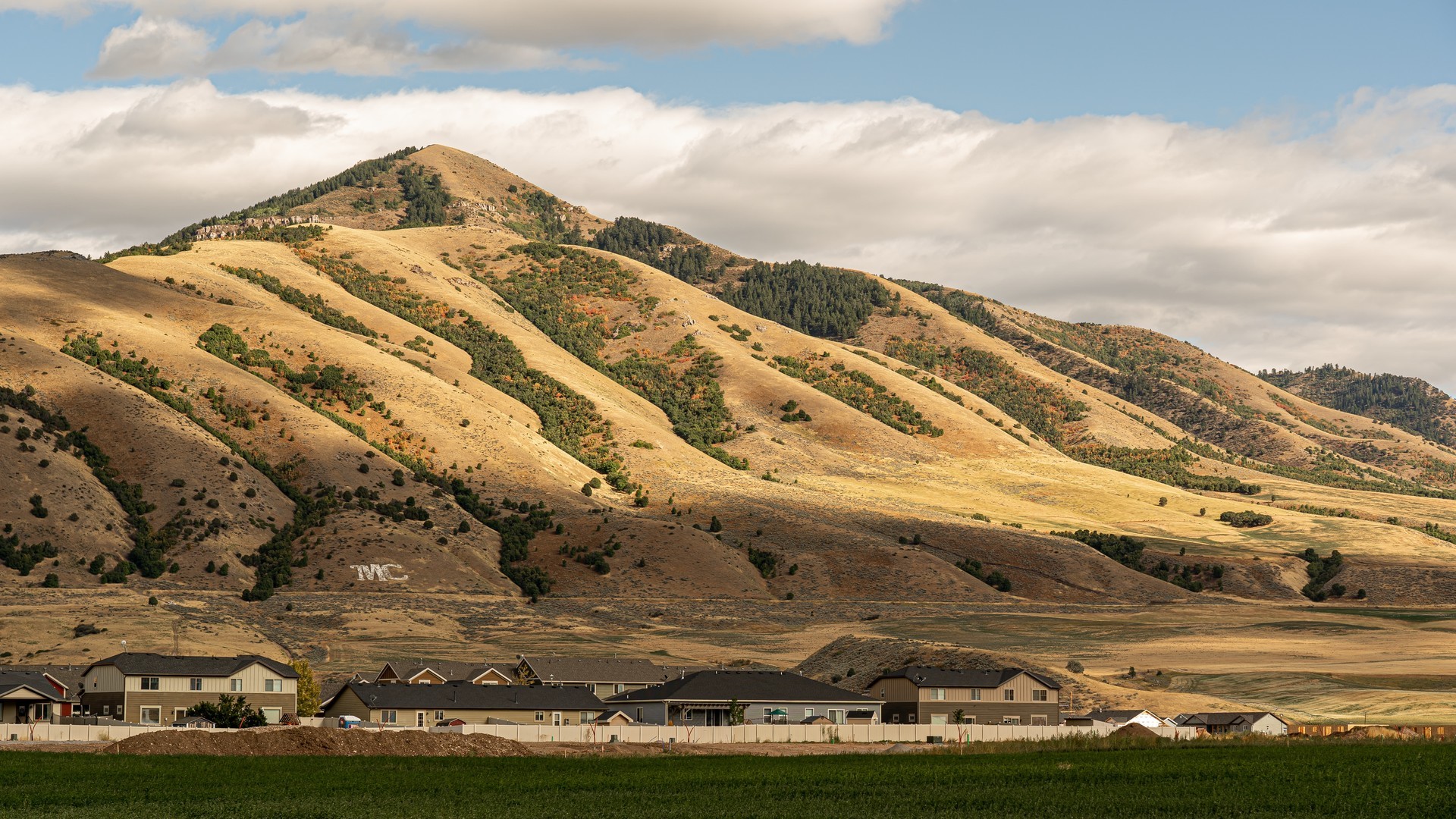 a04bc2e6a420240625084310