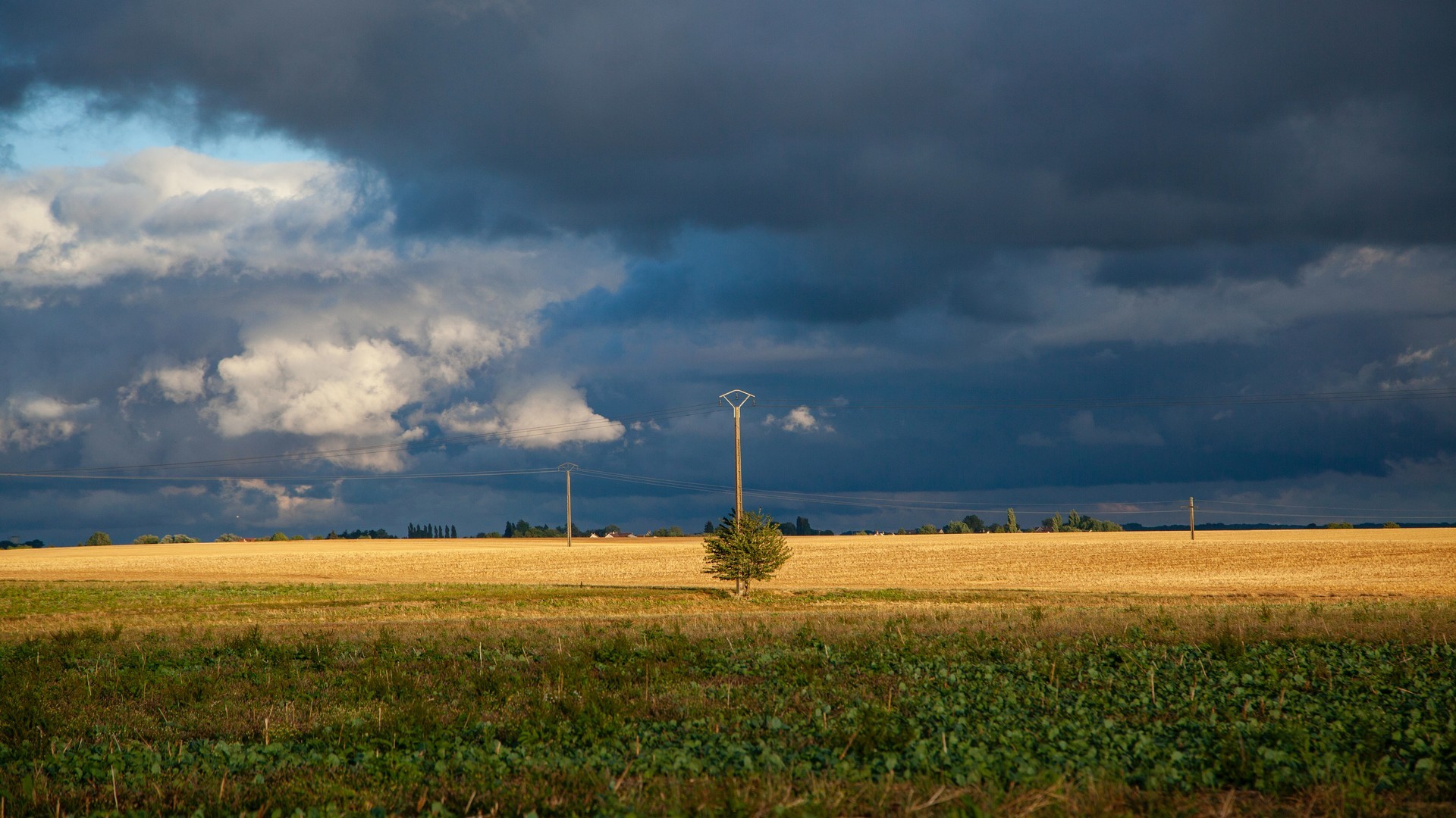 ff90404b4a20240625084337