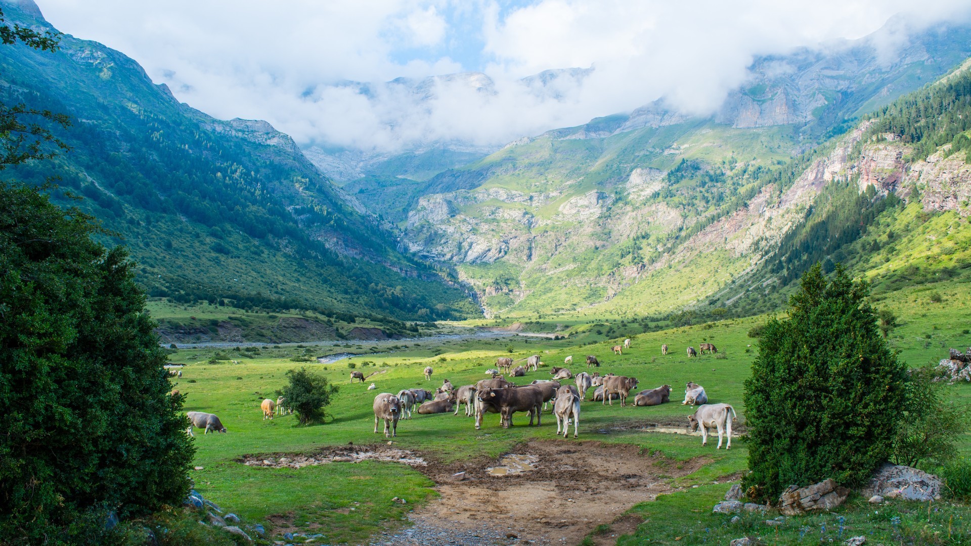 edd70c33de20240625084347