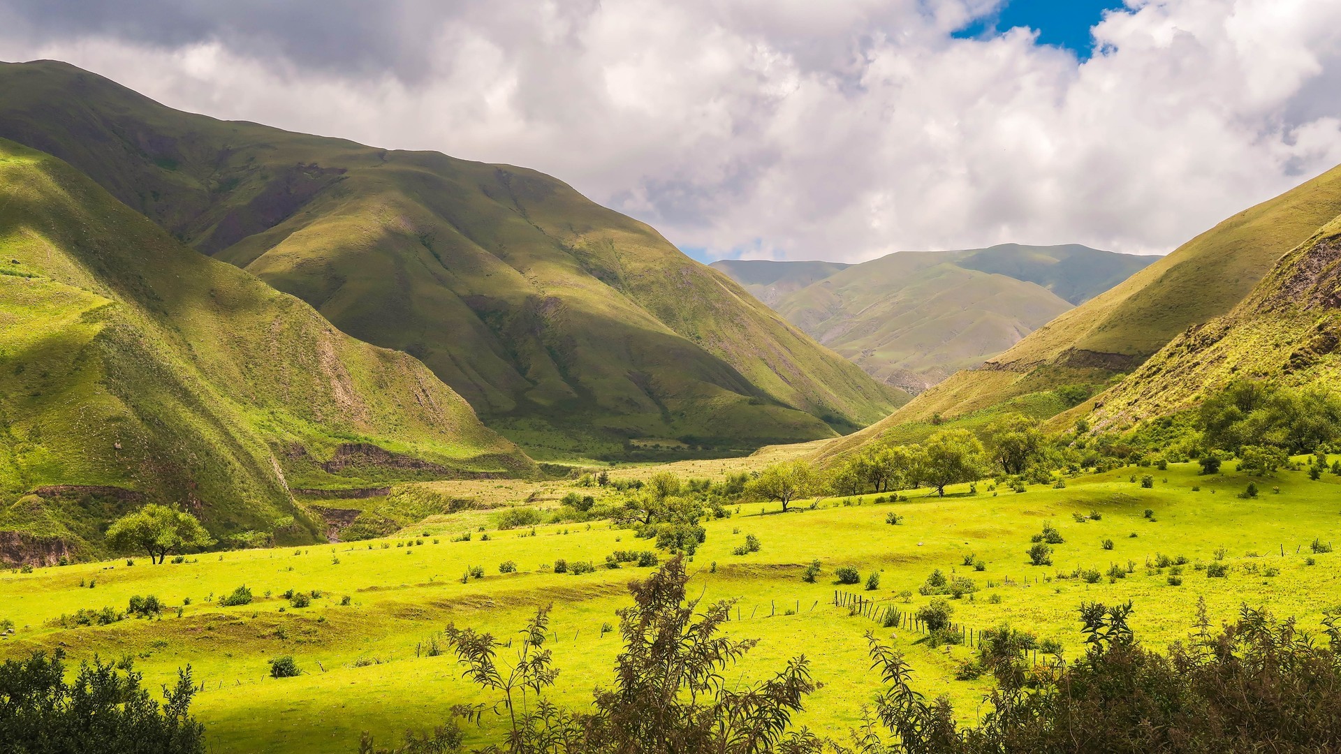 925243a0d420240625084414