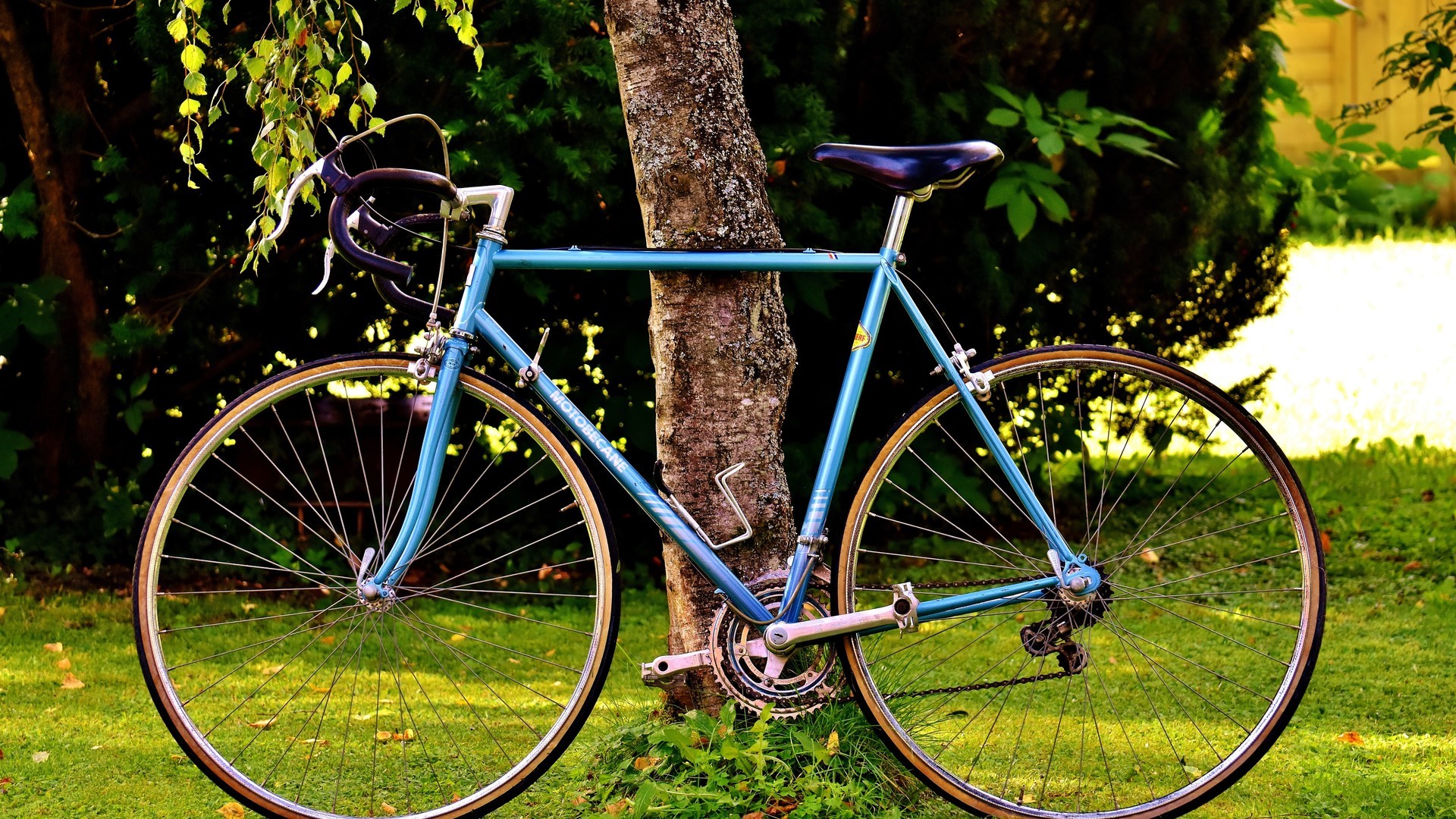 6565af3c7320240702082445