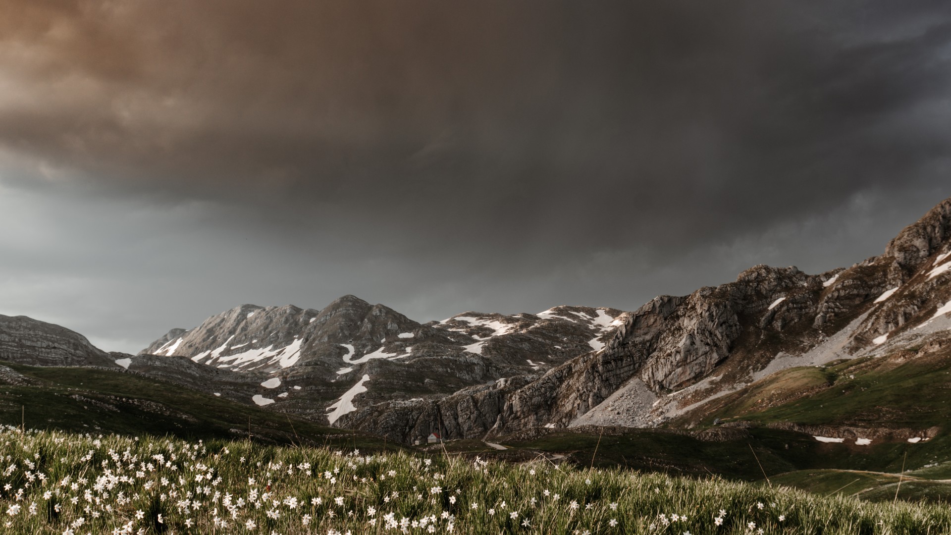 dafbdd242520240709095352