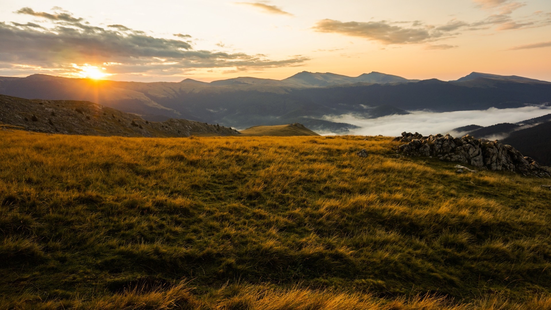 6d4db1f39c20240710084942