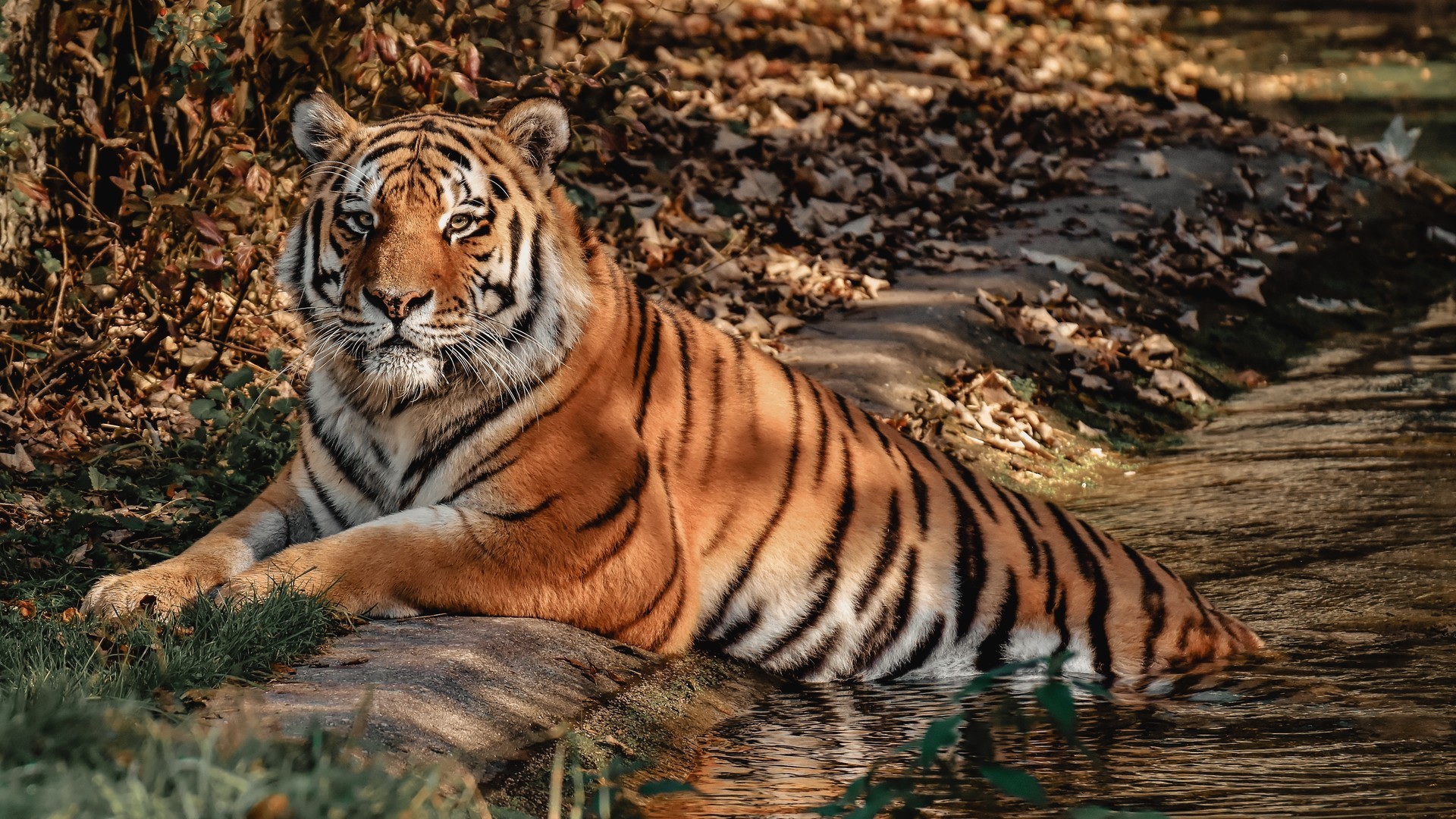 fadd3746e820240729084425