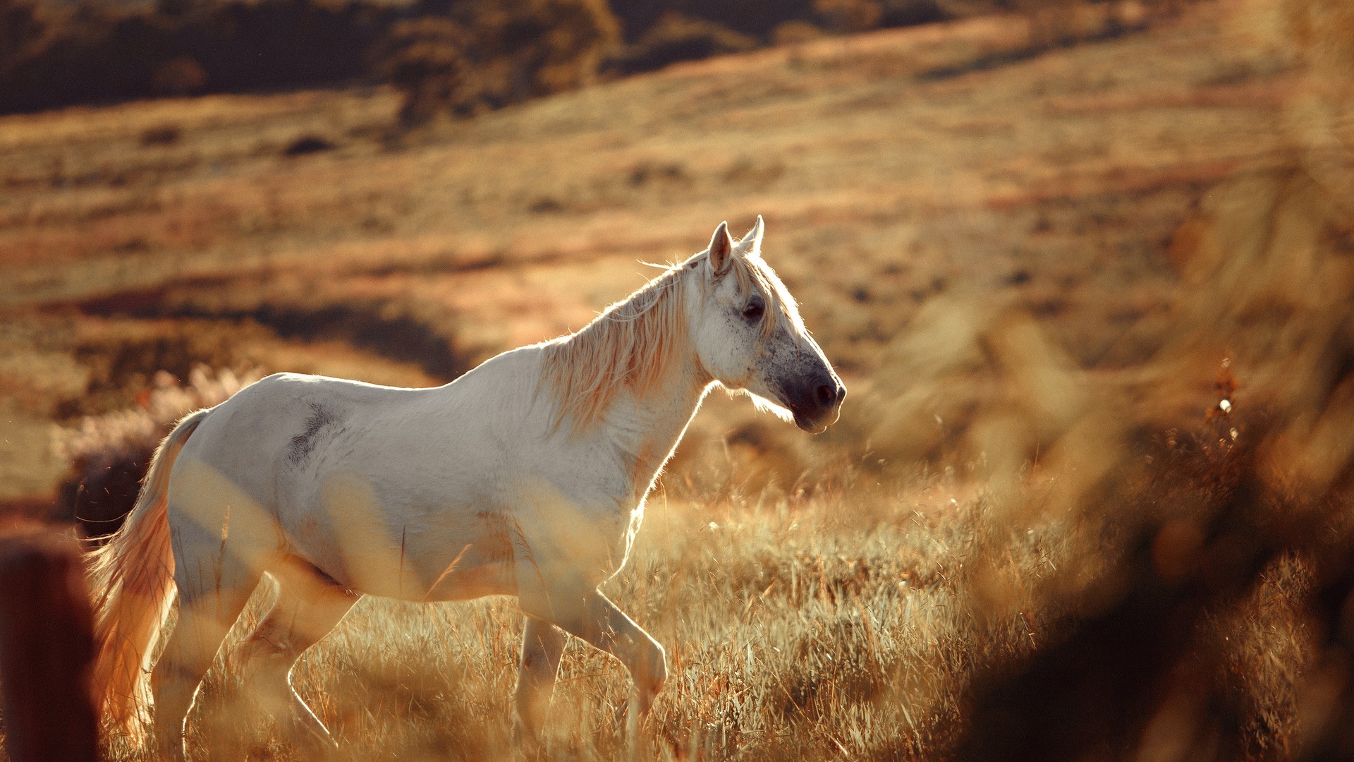 43d9dfc0c820240729084433