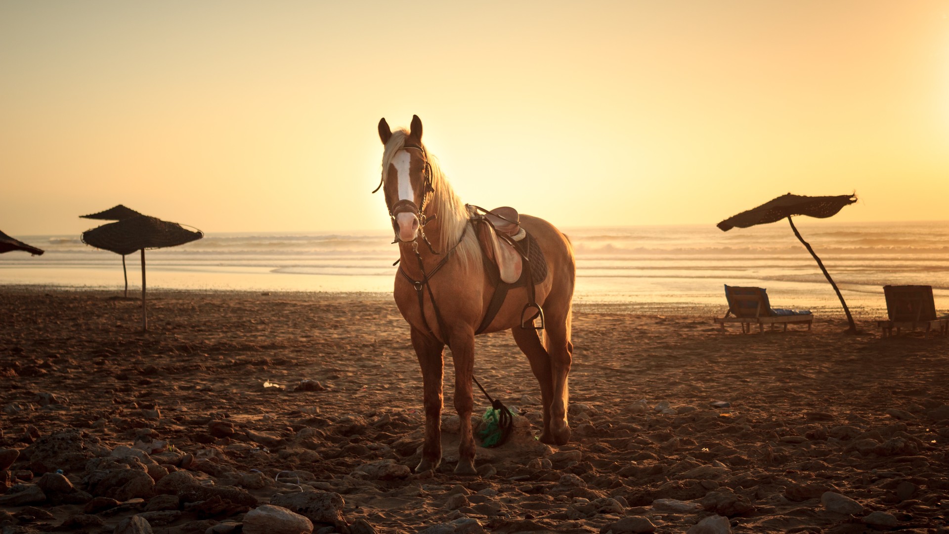 3d66d33d1320240729084451