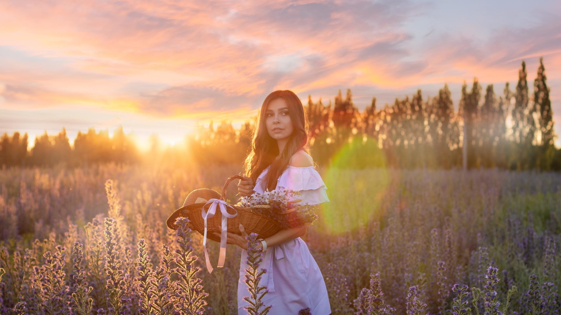 8d57062f1b20240731085628