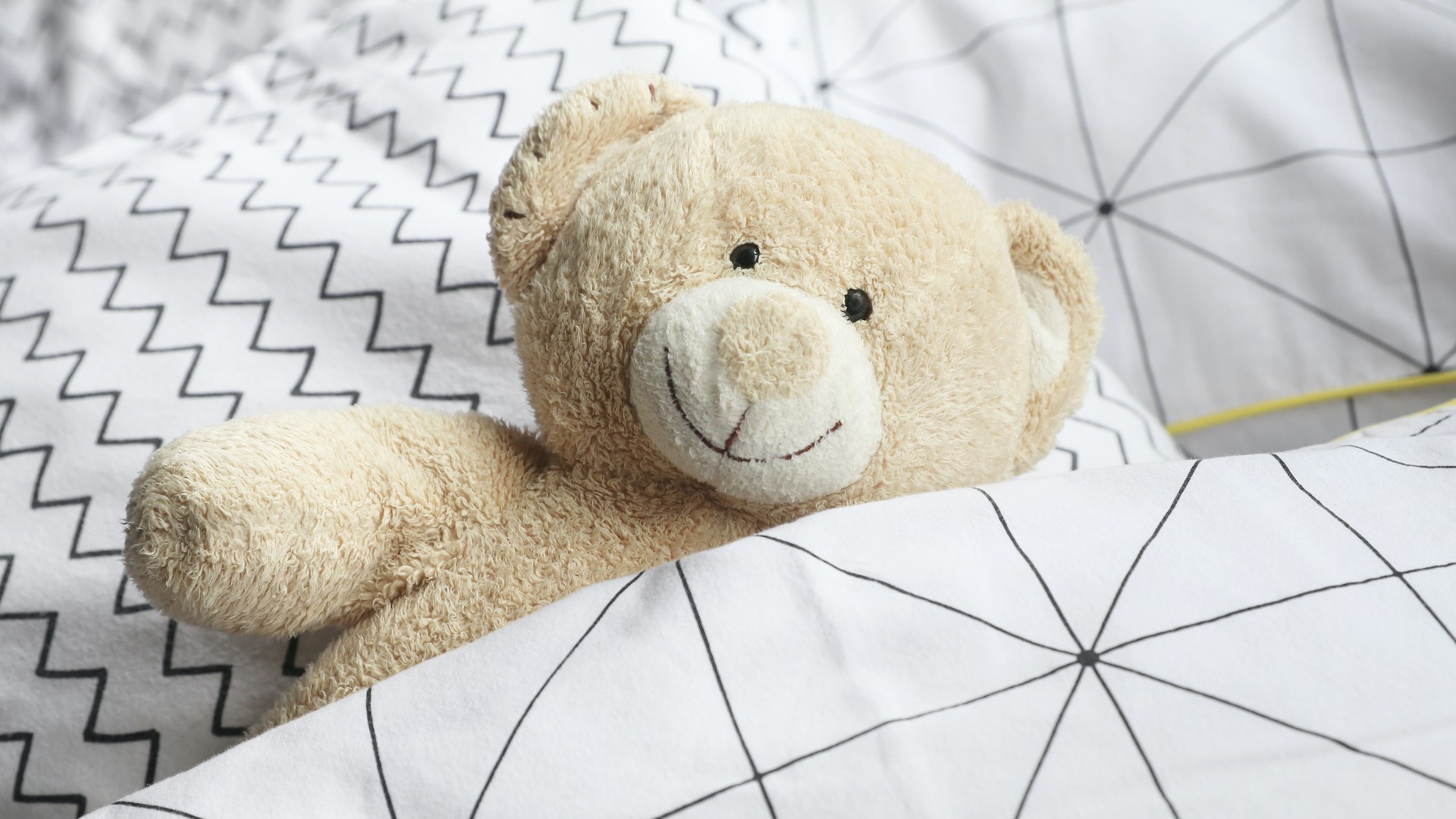 c42ddc1b9720240801091100