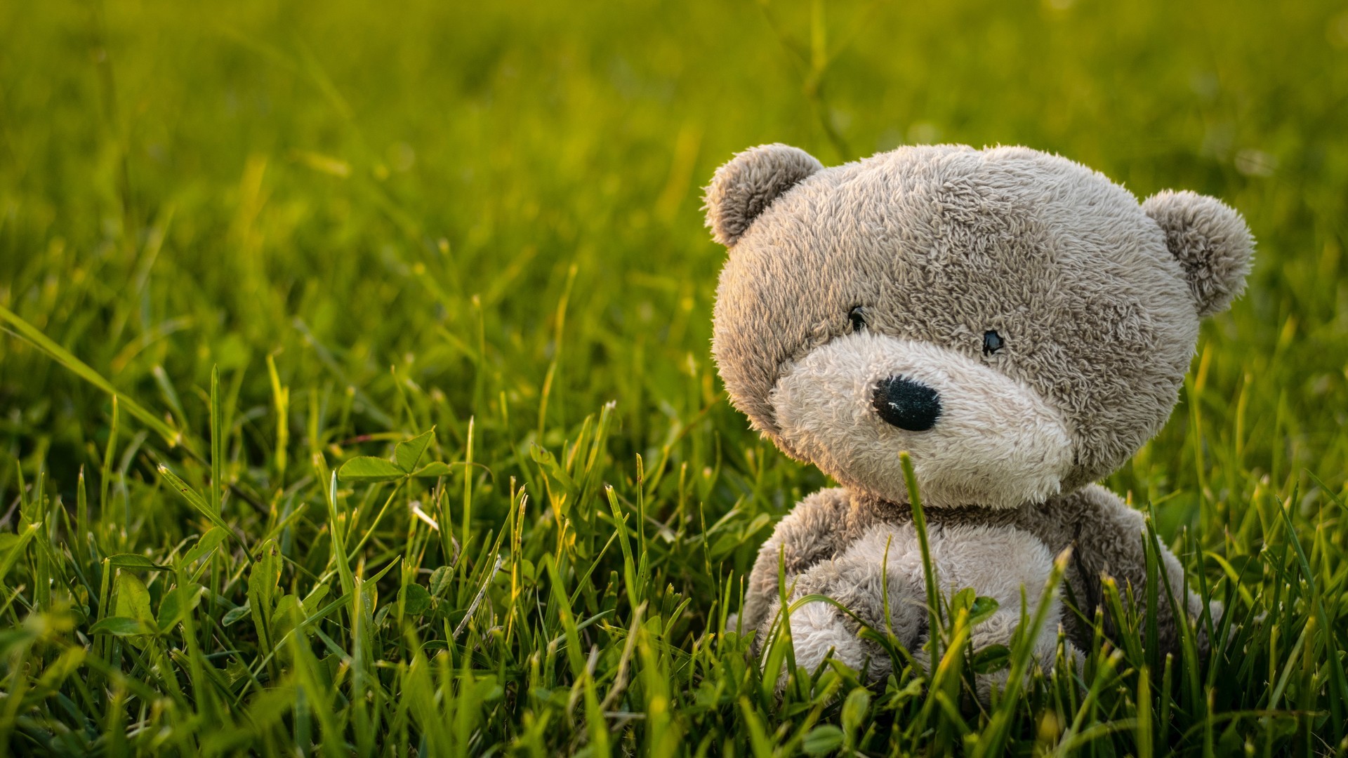 6c739c8d2920240801091108