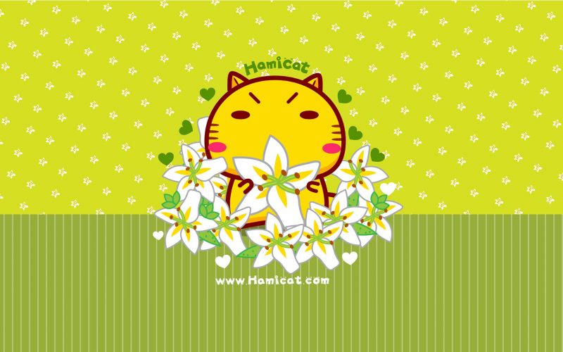 今日壁纸分享-抖有网