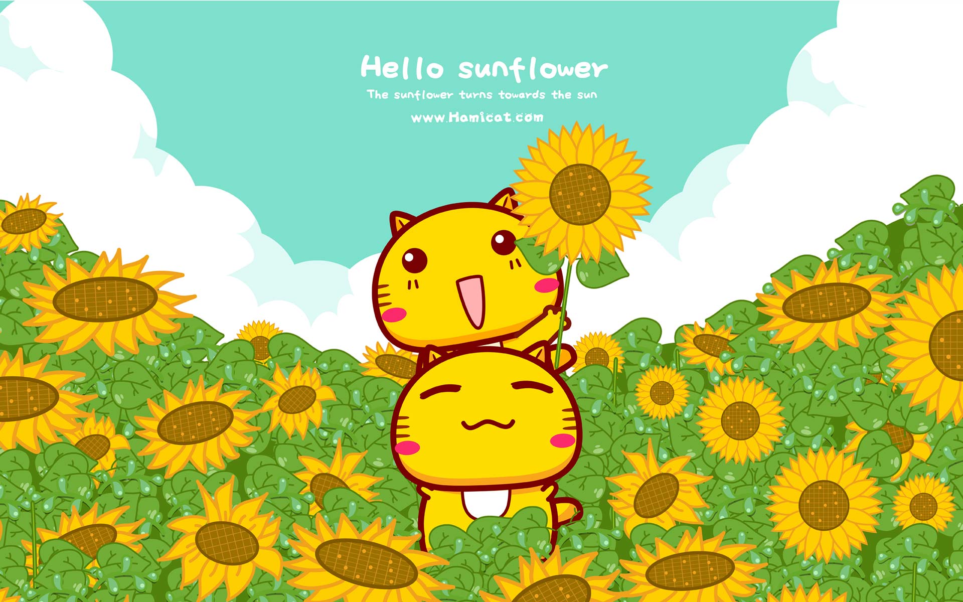 9b07b12bac20240802085911