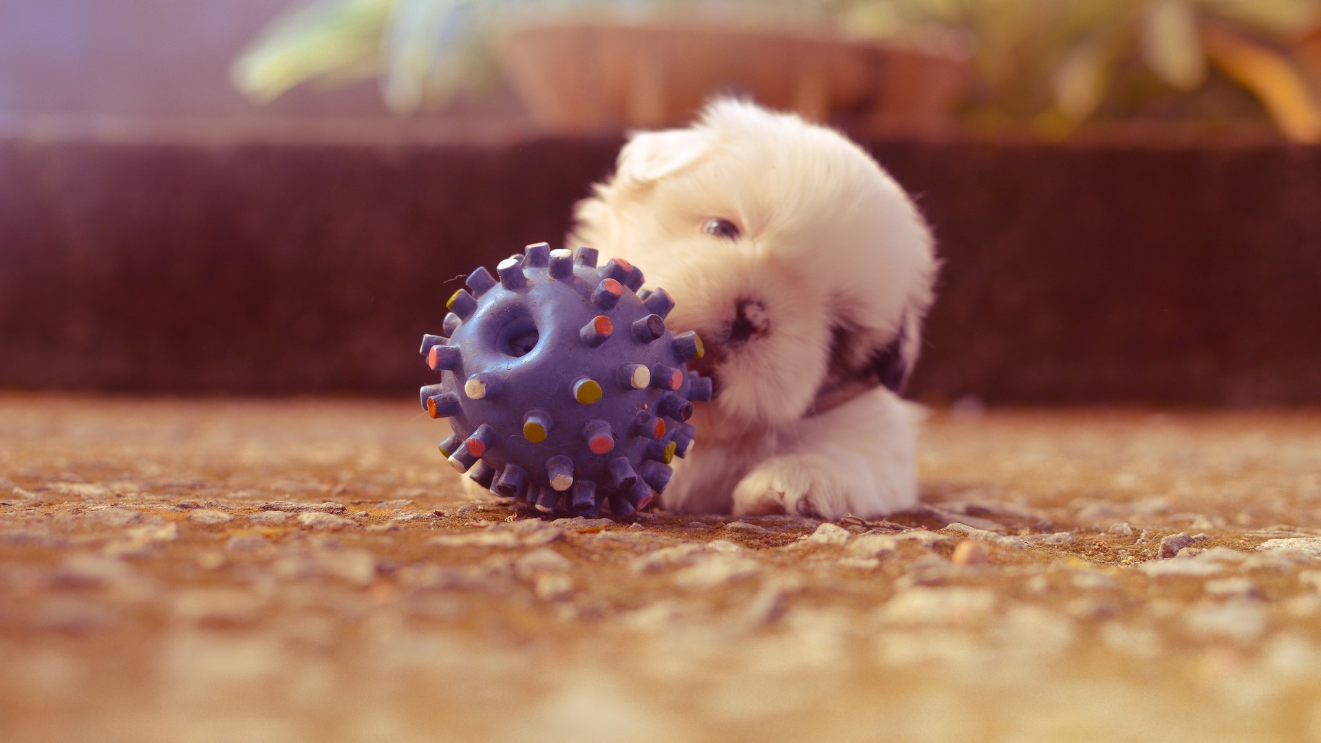 5ff2695f1f20240807084214