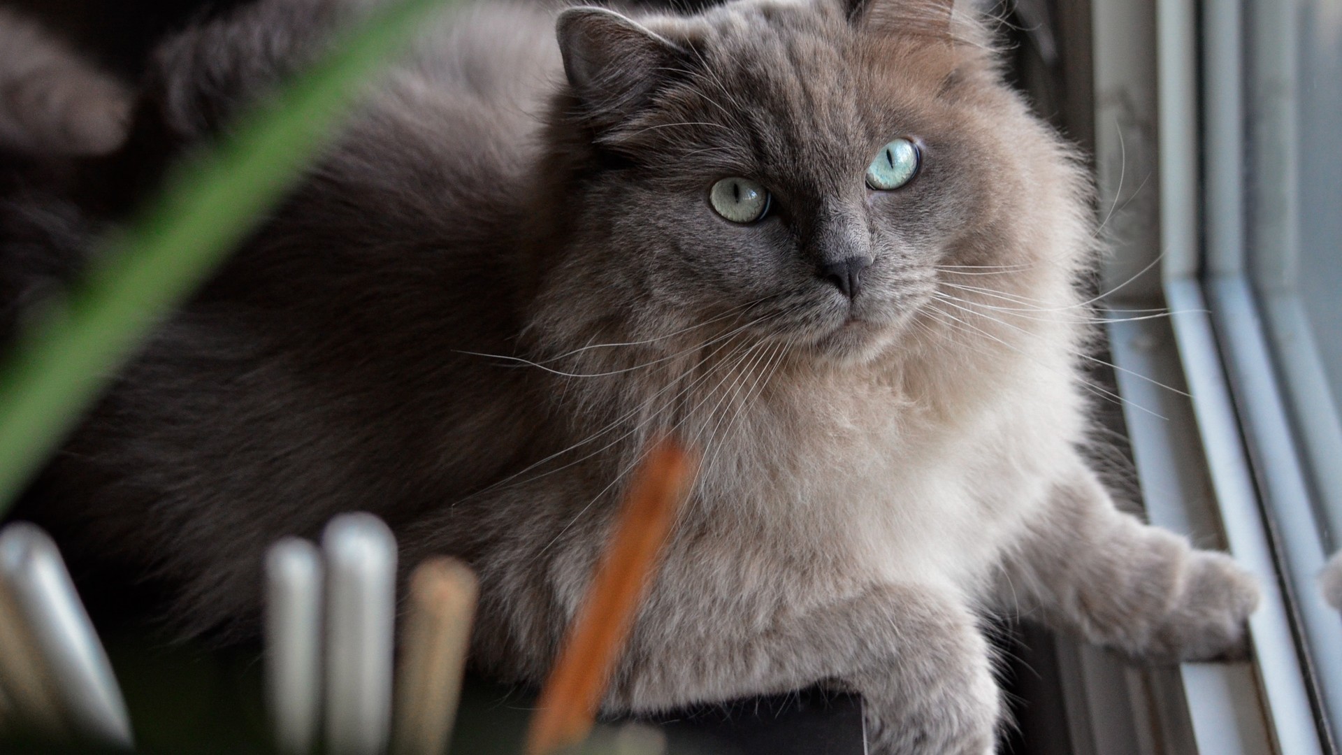 fc2ada620720240807084312