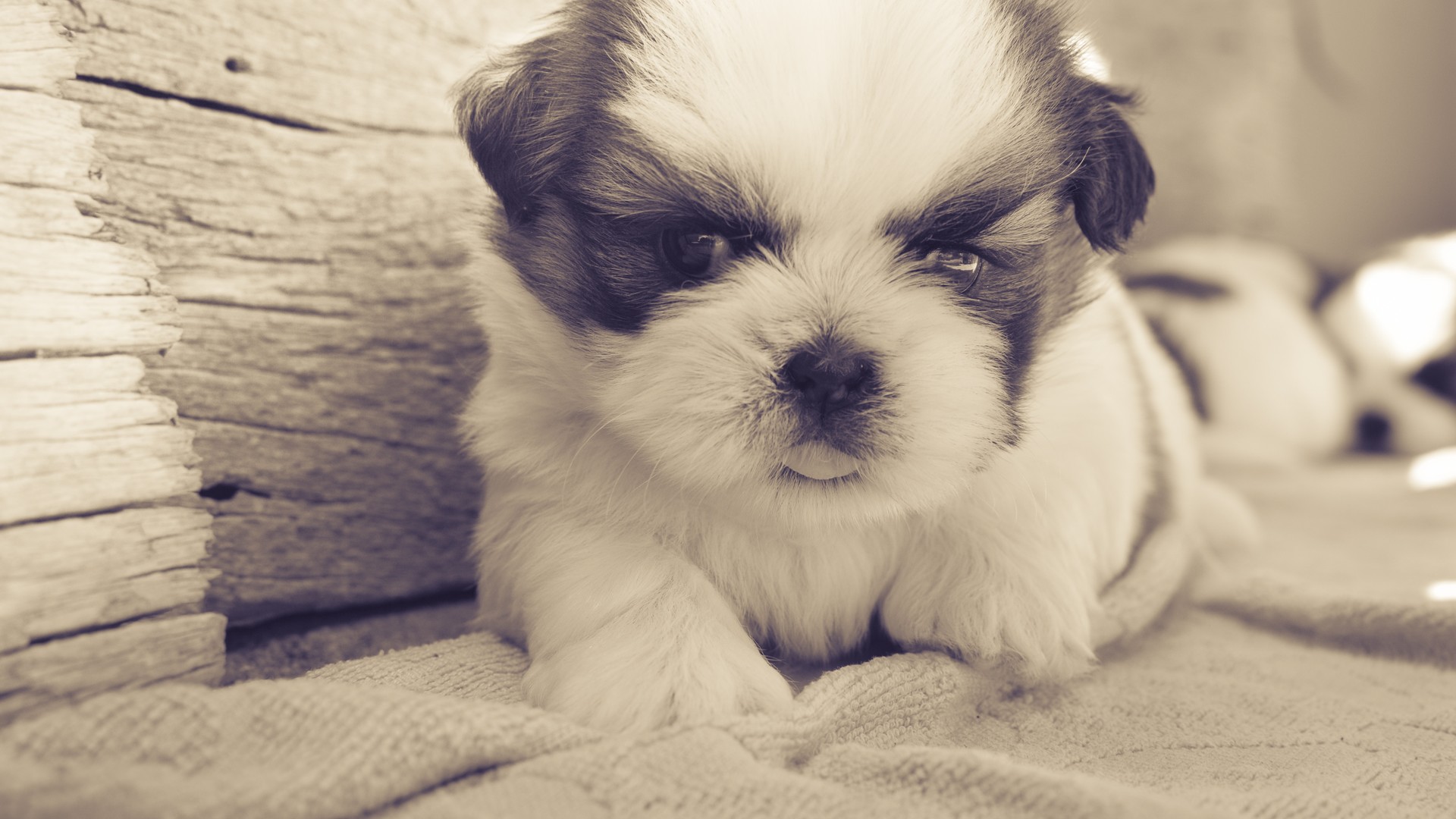 a6a8a920f120240807084318