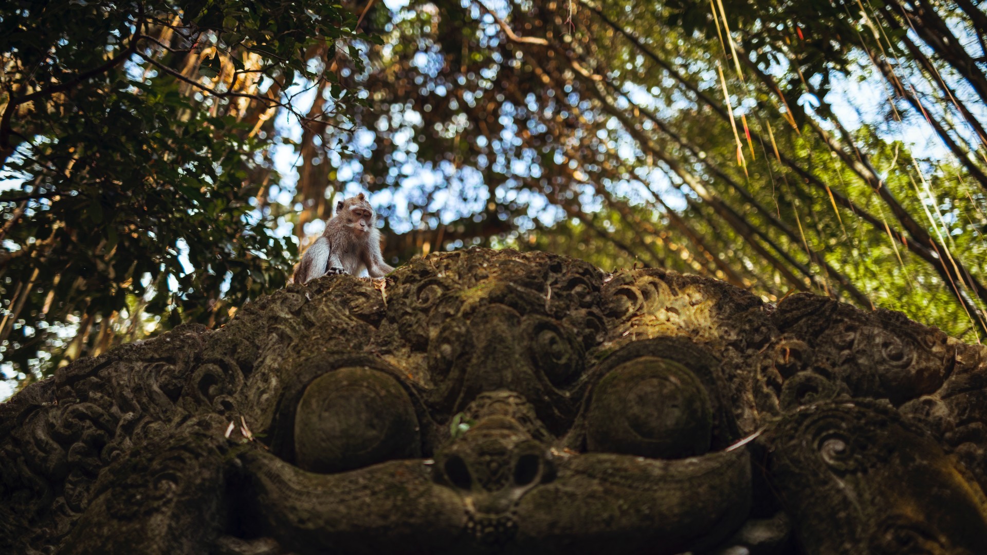 ed9b90330620240809084735