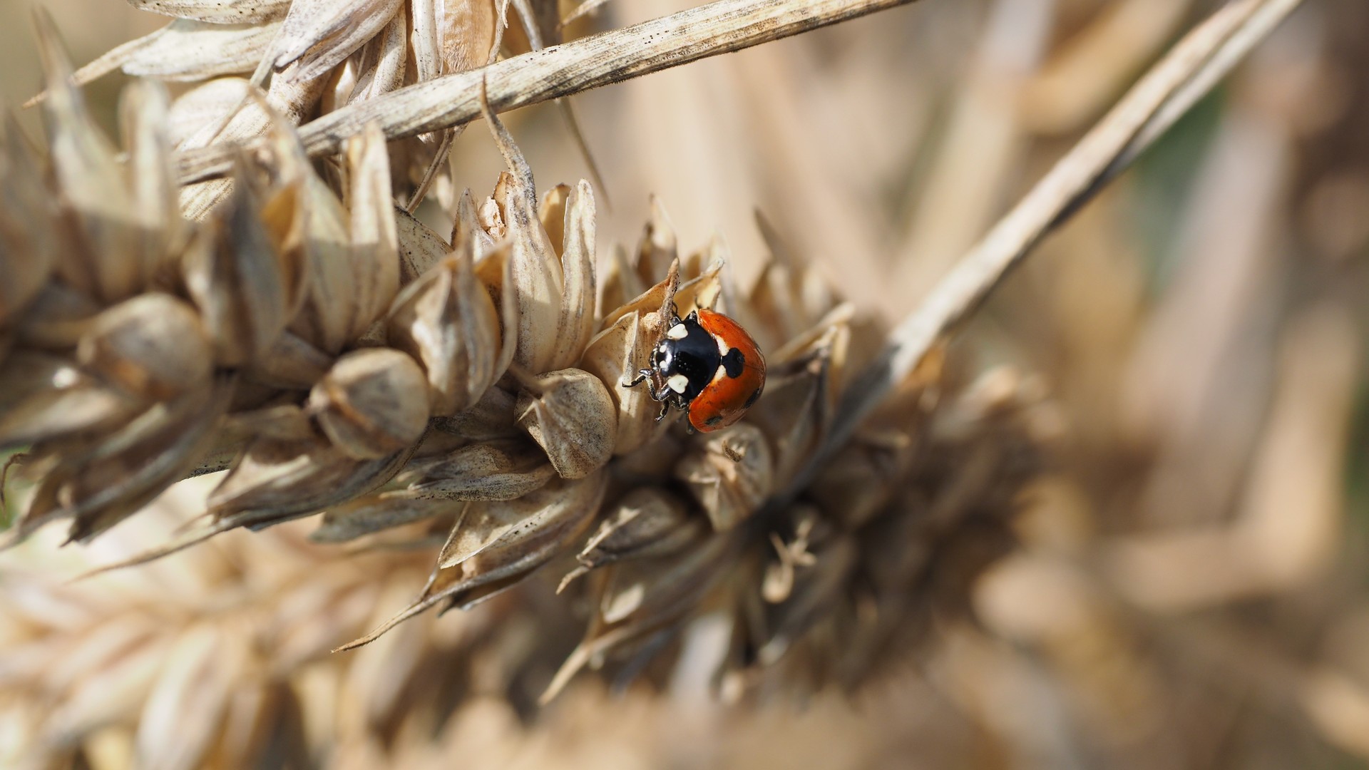 ac41f94e6520240809084802