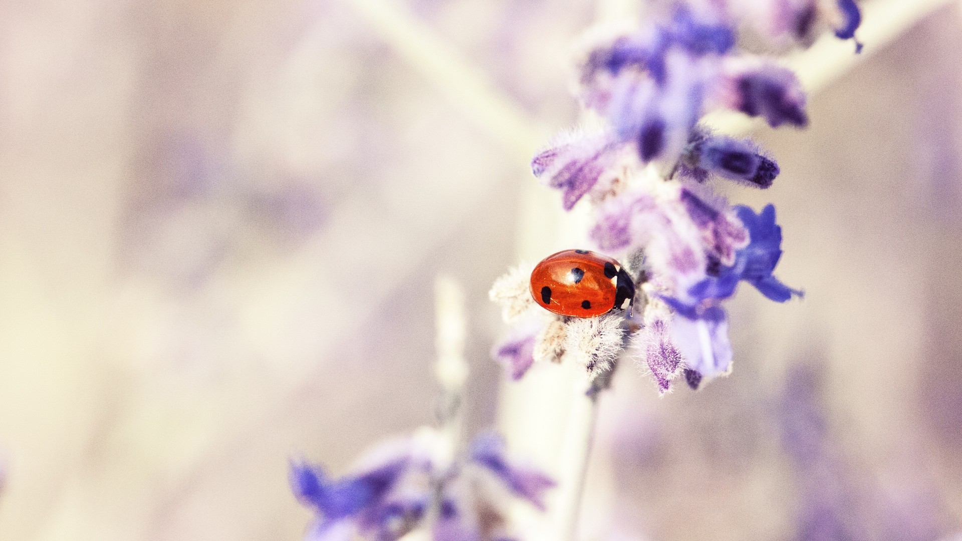 ca6eb3686220240809084809