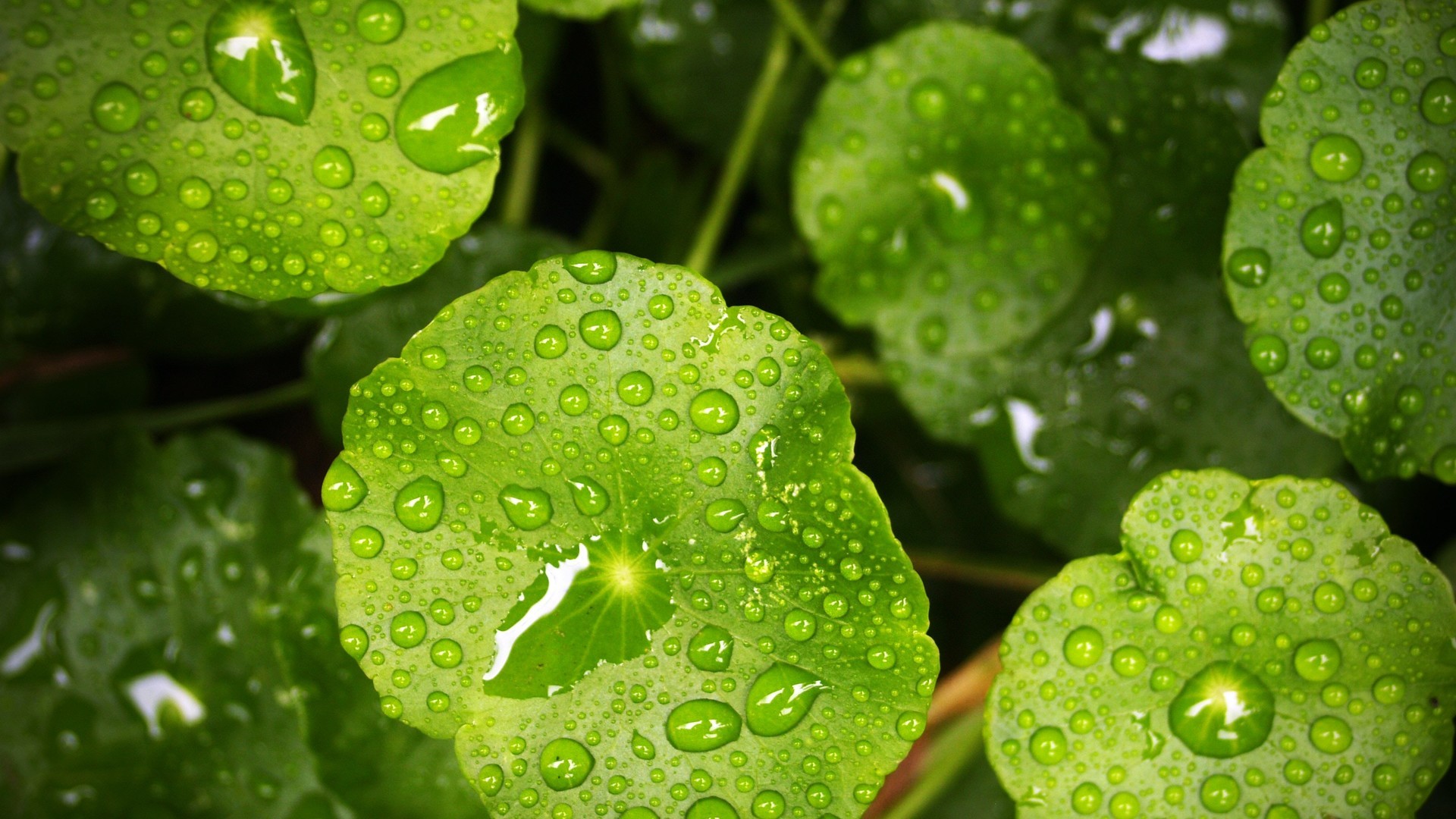 ca592b43fe20240813085501