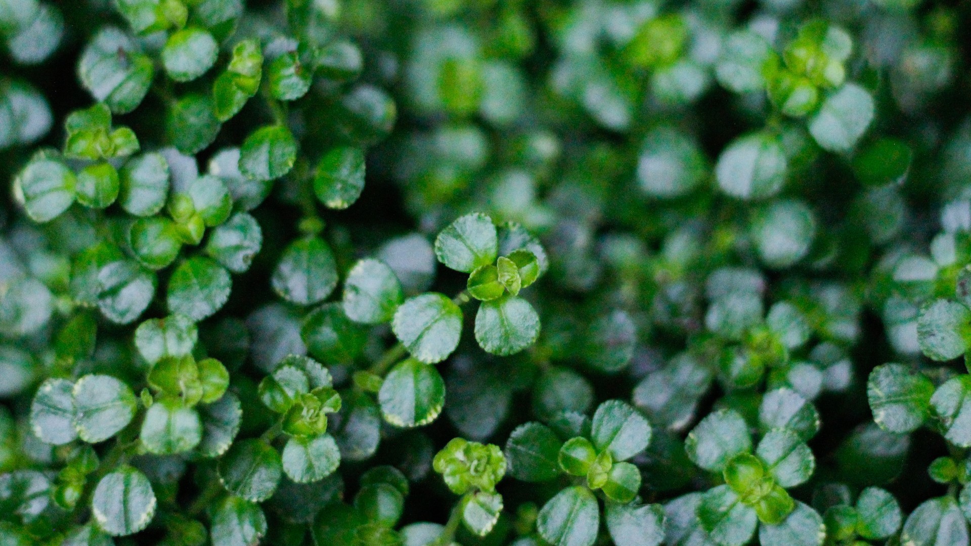 1073a9644720240813085509