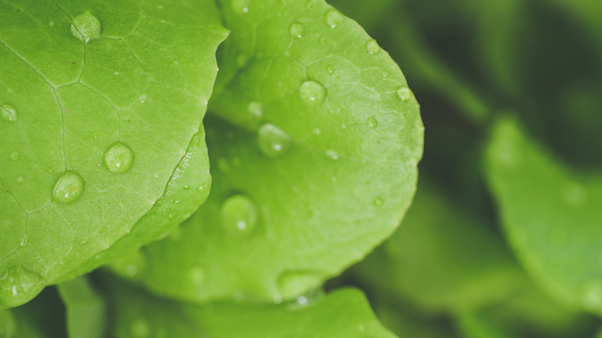 19036330c720240813085515