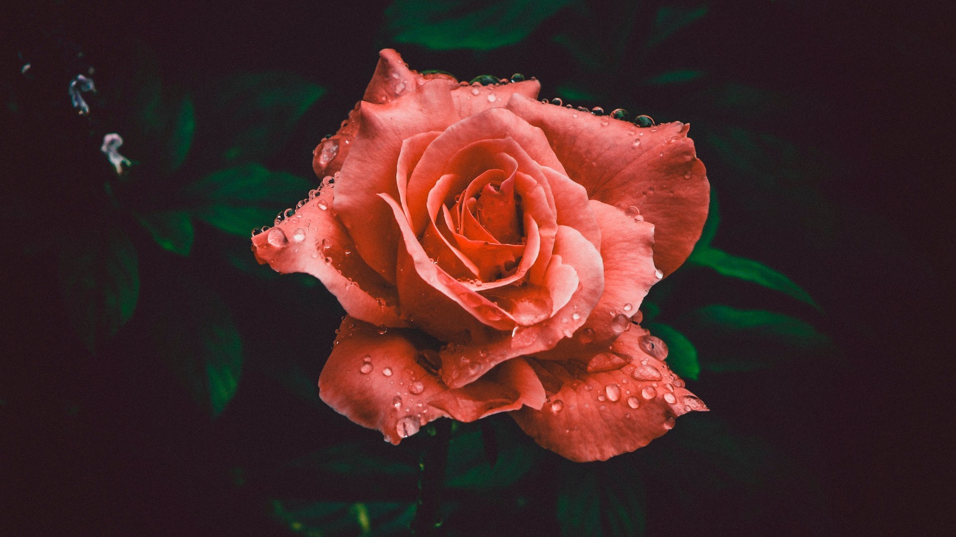 226261467c20240813085524