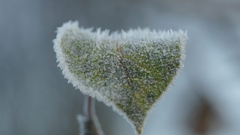 今日壁纸分享-抖有网