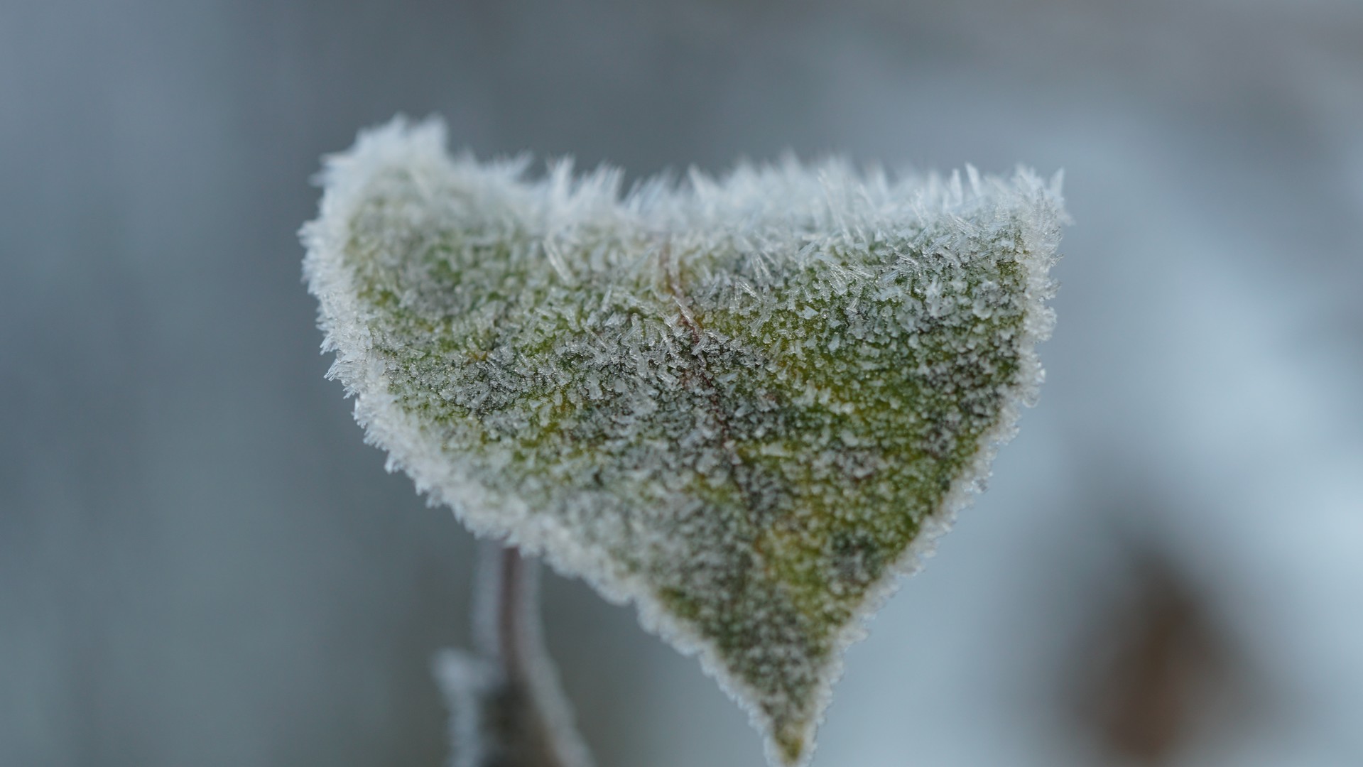 43258aa93d20240821085710