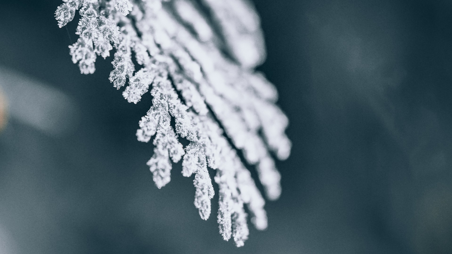 4642ea228120240821085718