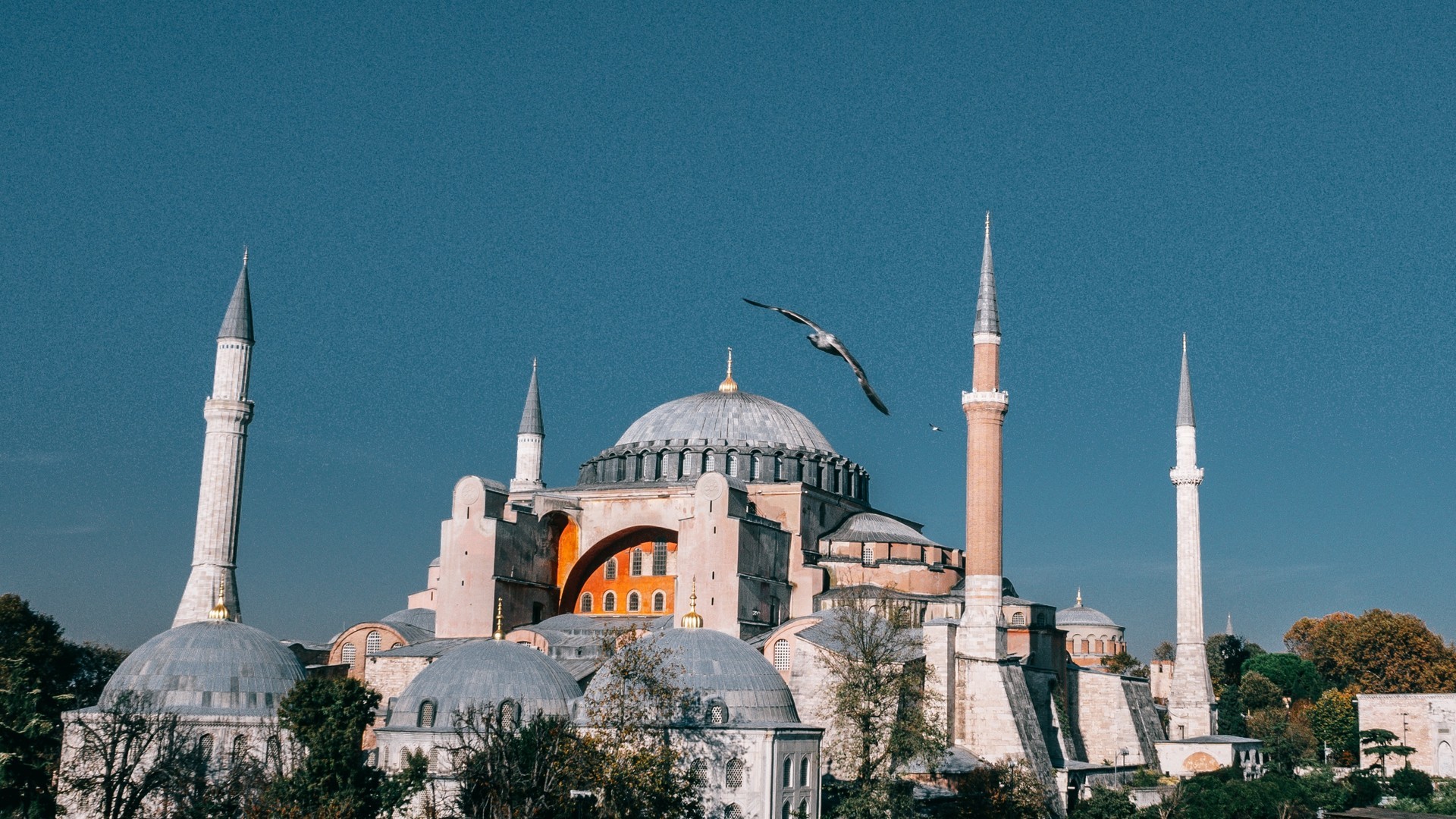 933041821620240827085439