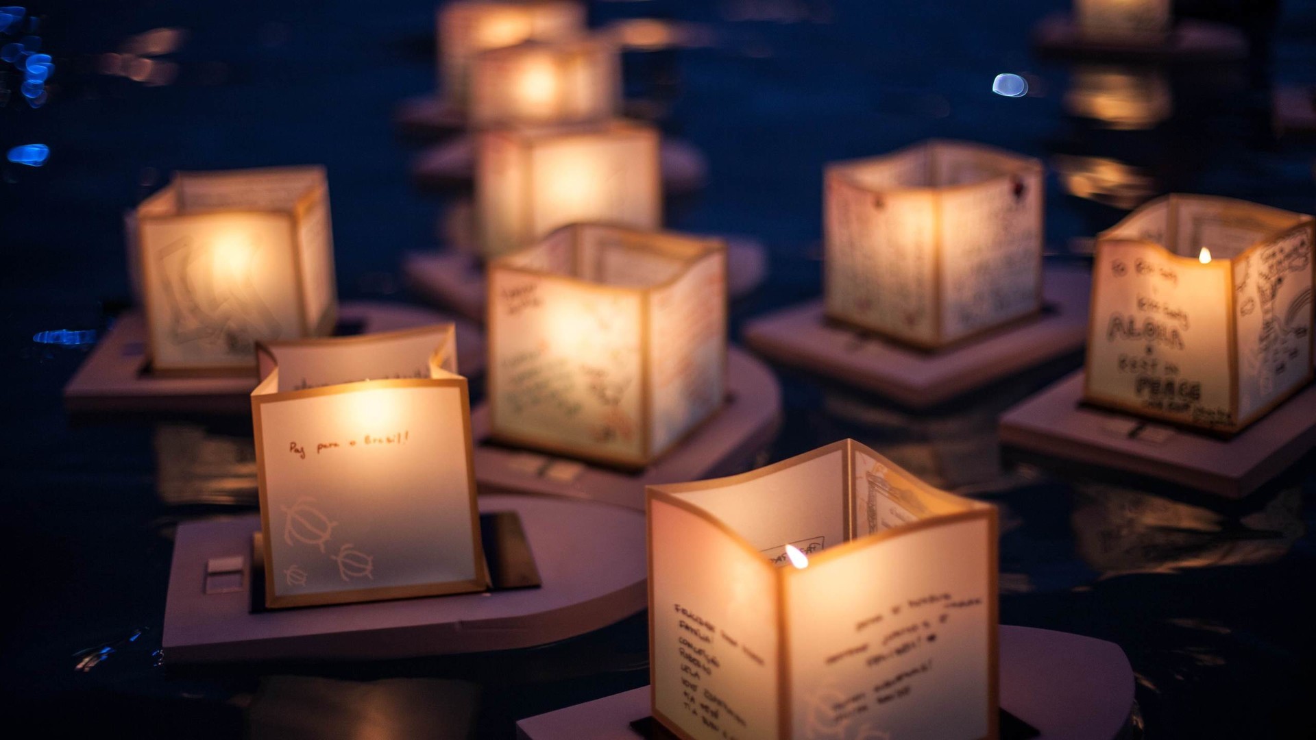 0bd03388f620240828085352