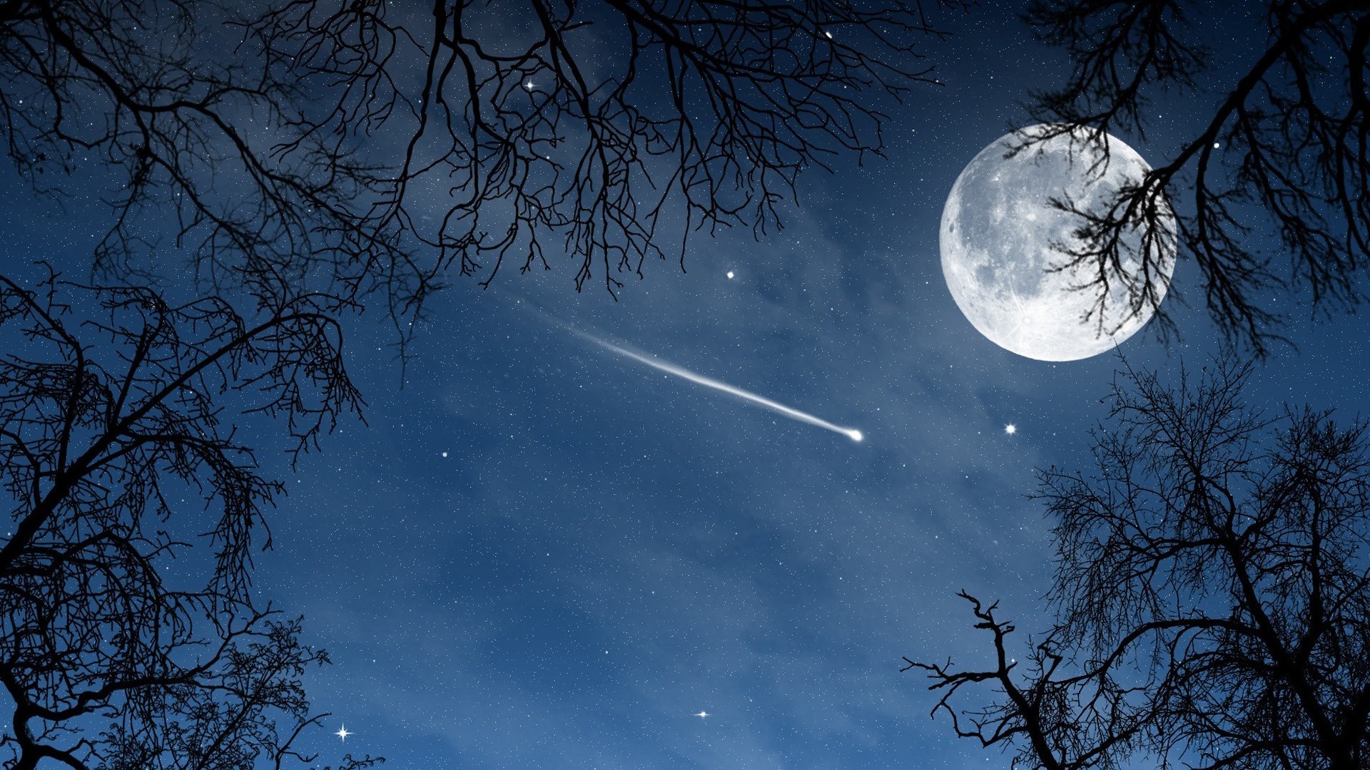 51111e8b8820240828085359