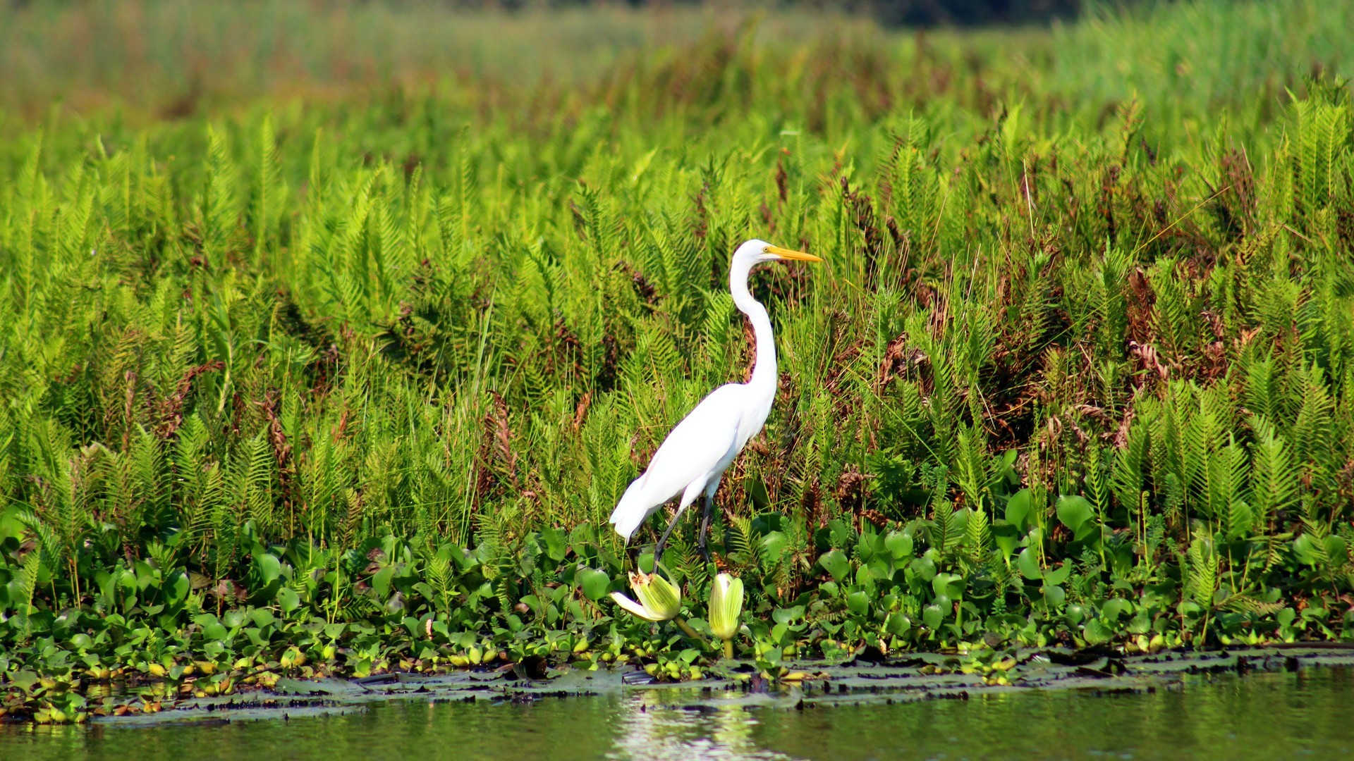 1ef5cf874020240902081653