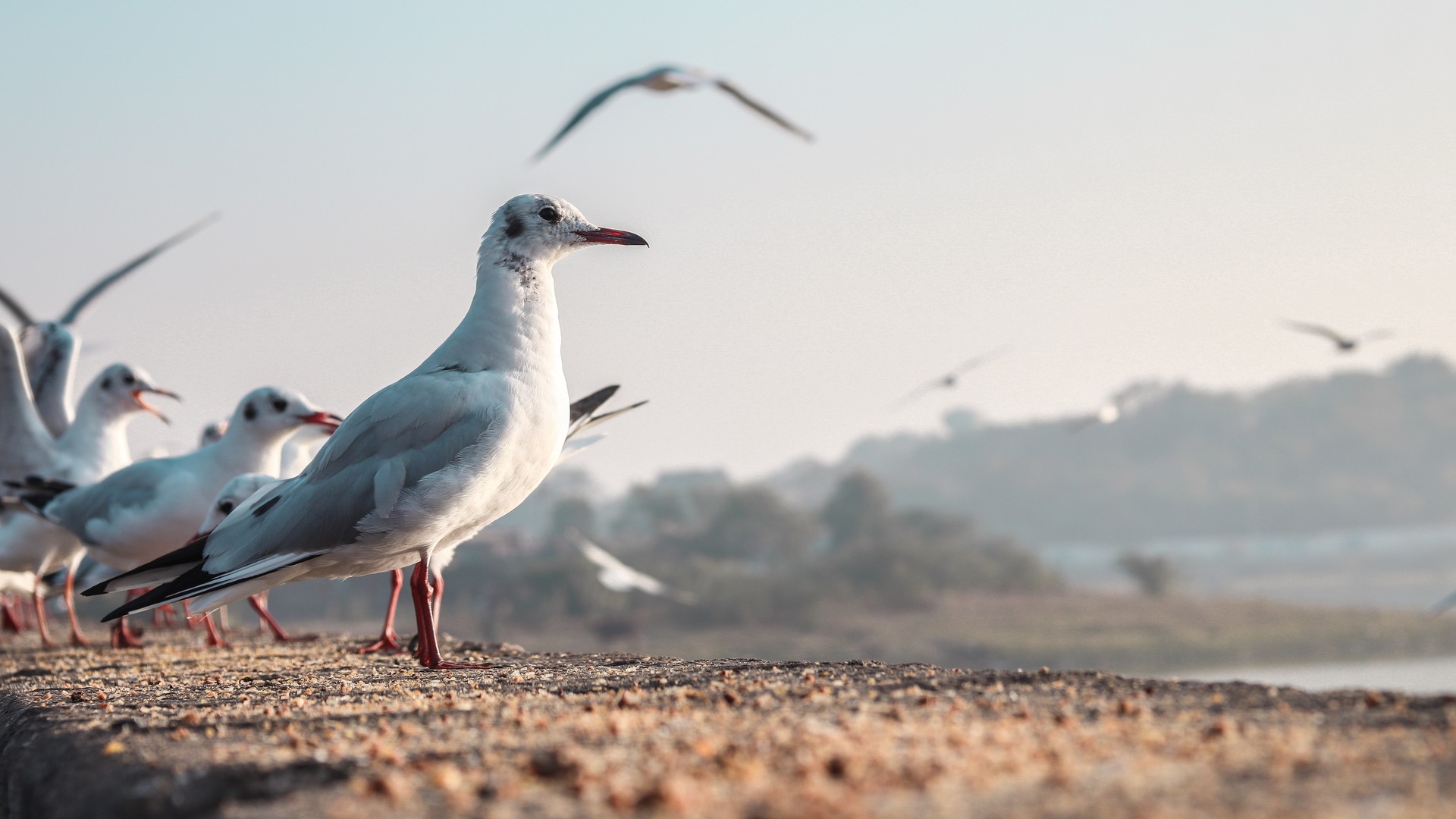 472973a2d920240902081659