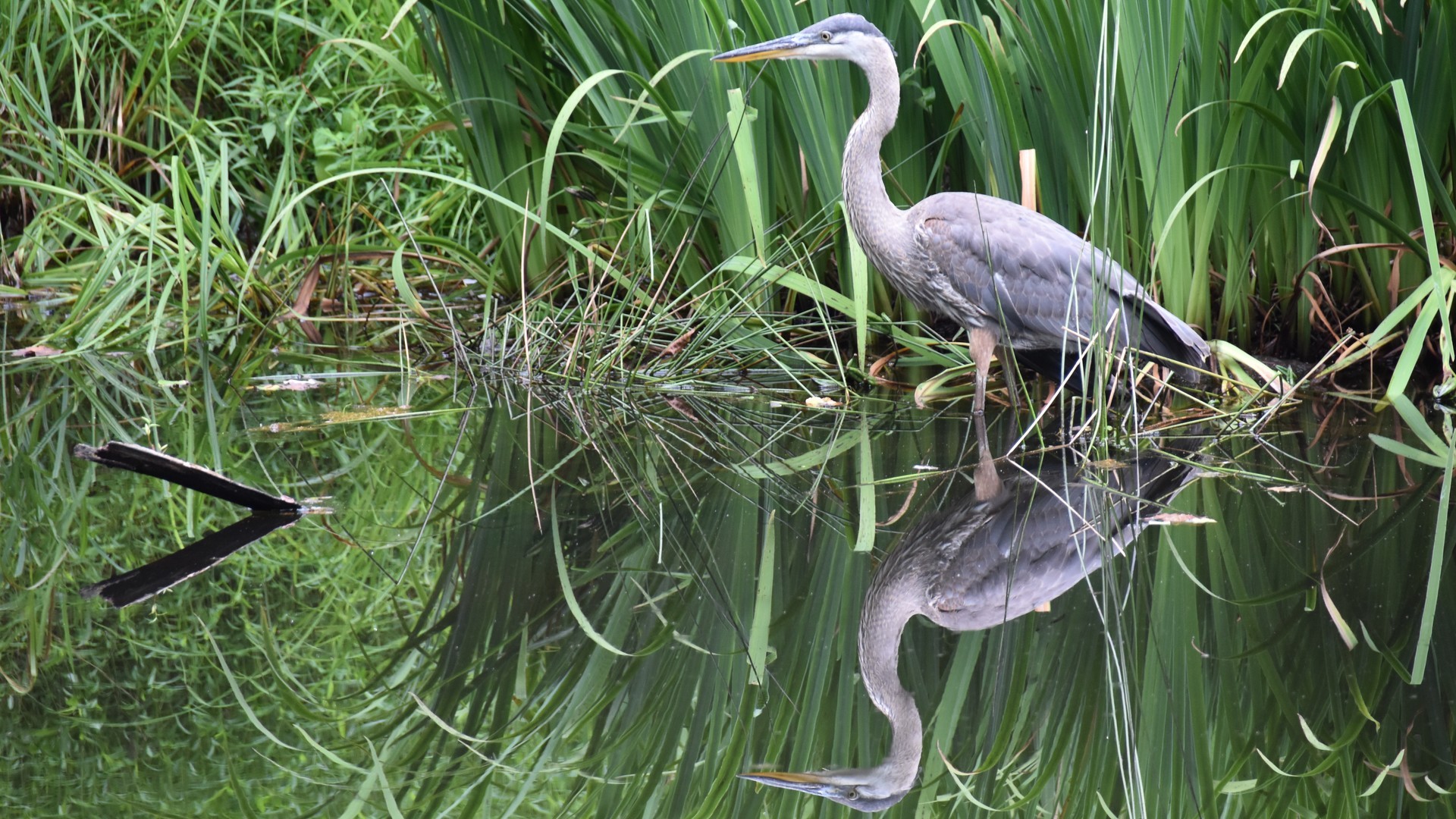 990424a93920240902081706