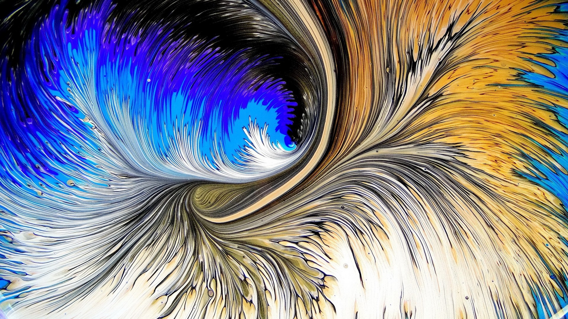 d447f19eb820240903091416