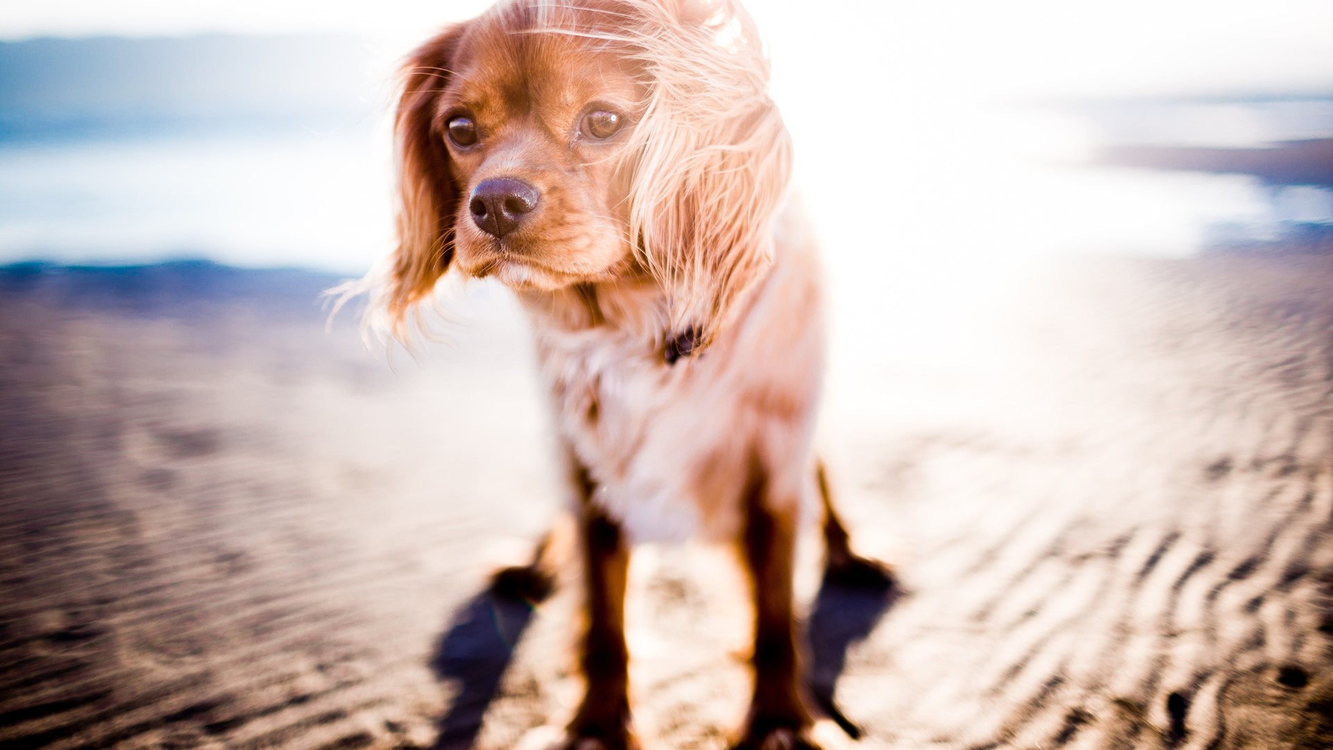 692f9e6a4f20240915081528