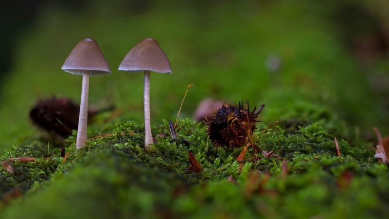 今日壁纸分享-抖有网