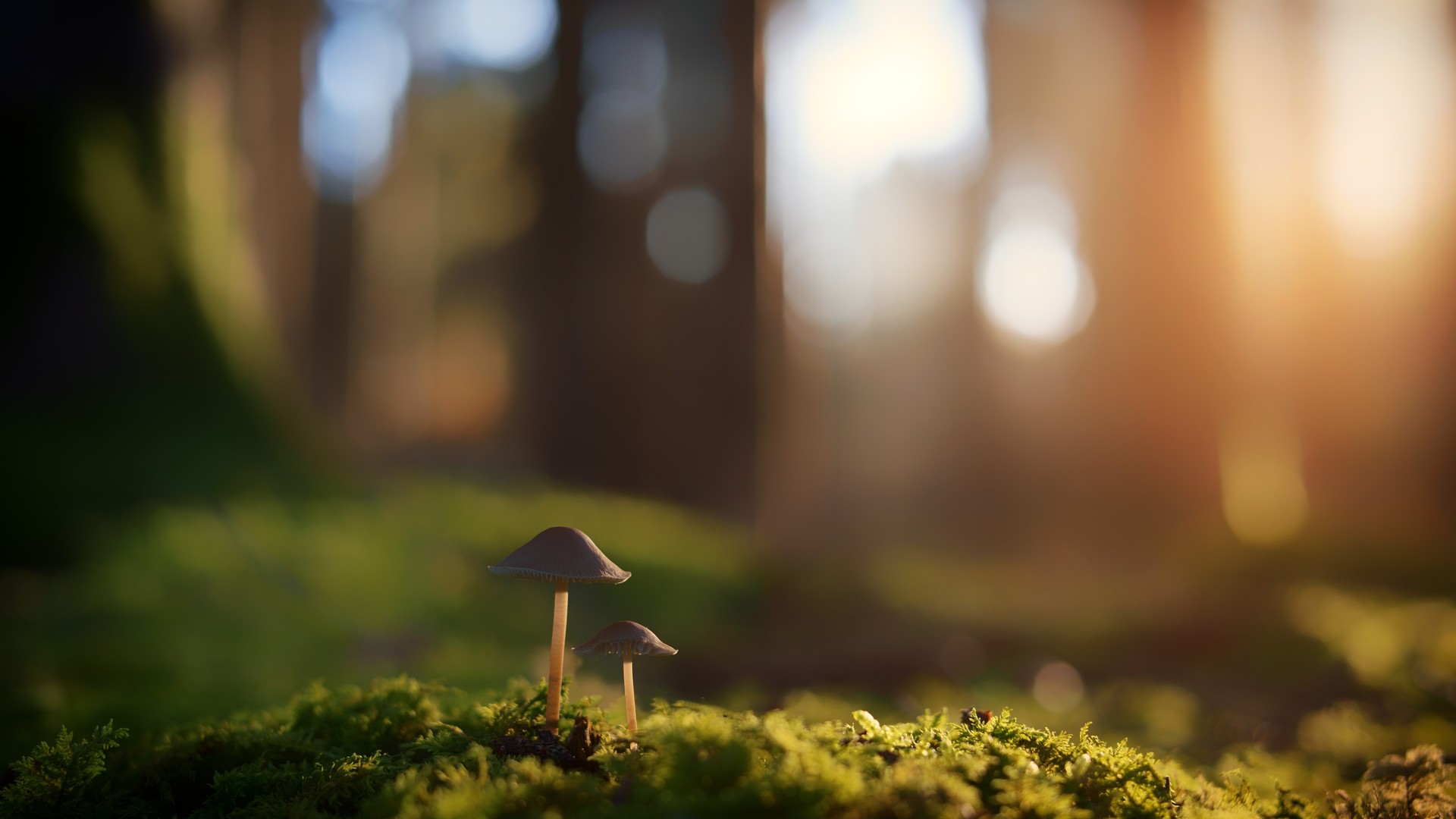 2664fbe80d20240920090356