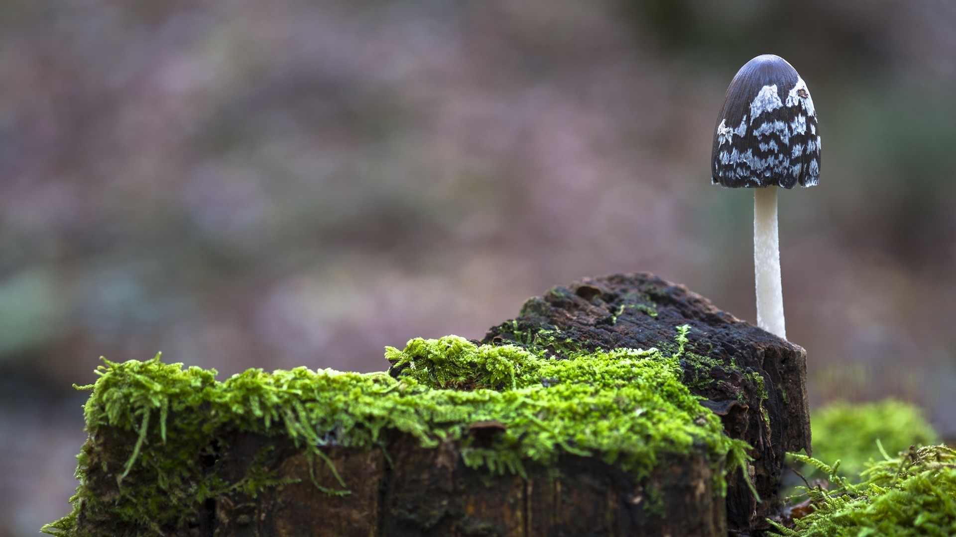 ed7ad114a520240920090405